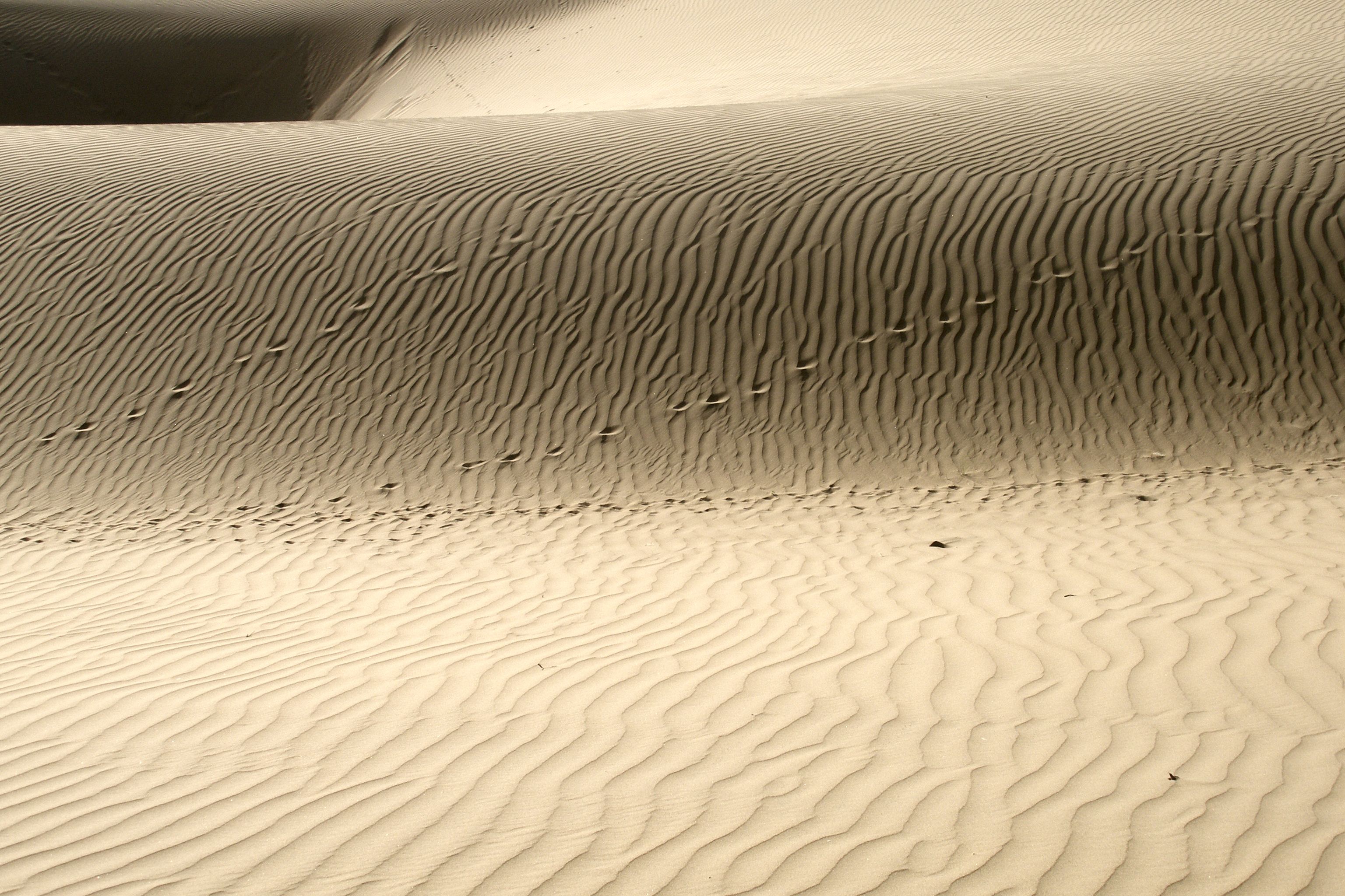3072x2048 Thar Desert, India, Sand