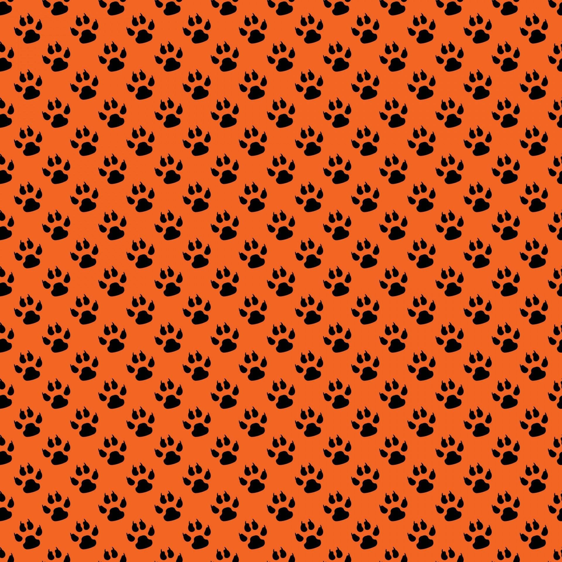 1920x1920 Orange Paw Print Patterns Wallpaper