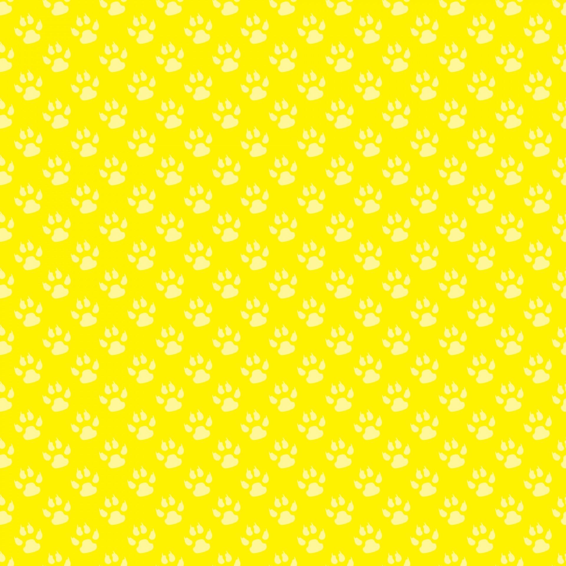 1920x1920 Download free photo of Paw print, paw