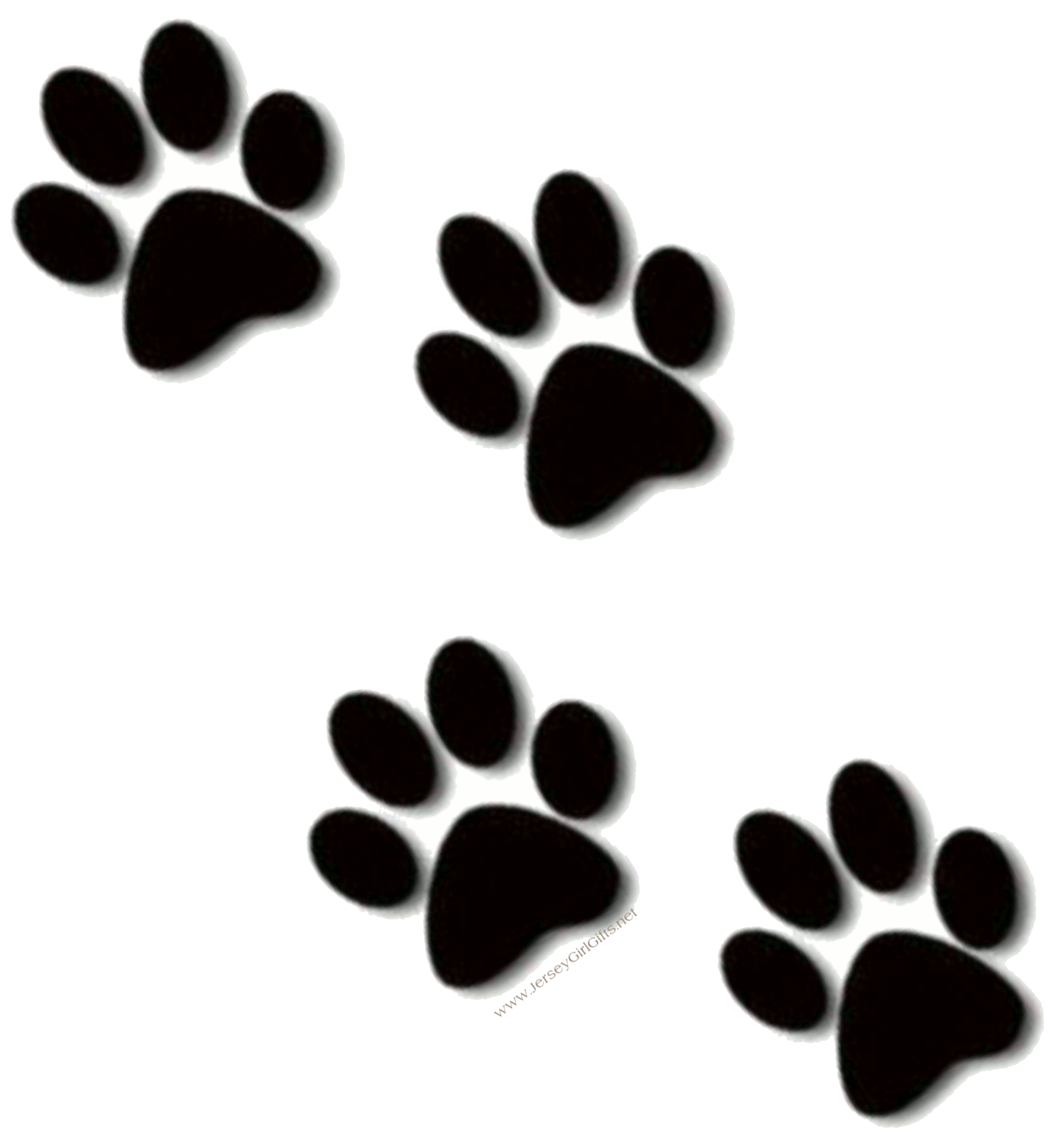 2388x2606 Paw Prints png image