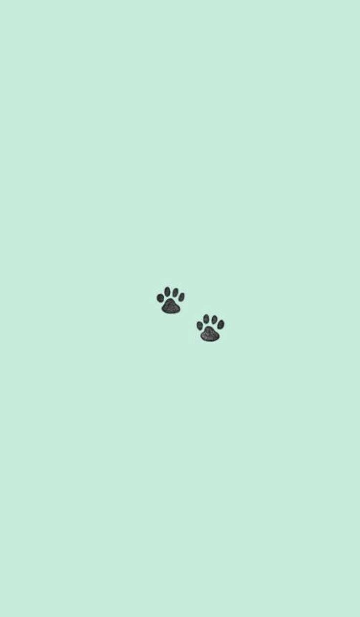736x1262 Mint Green iPhone Wallpaper