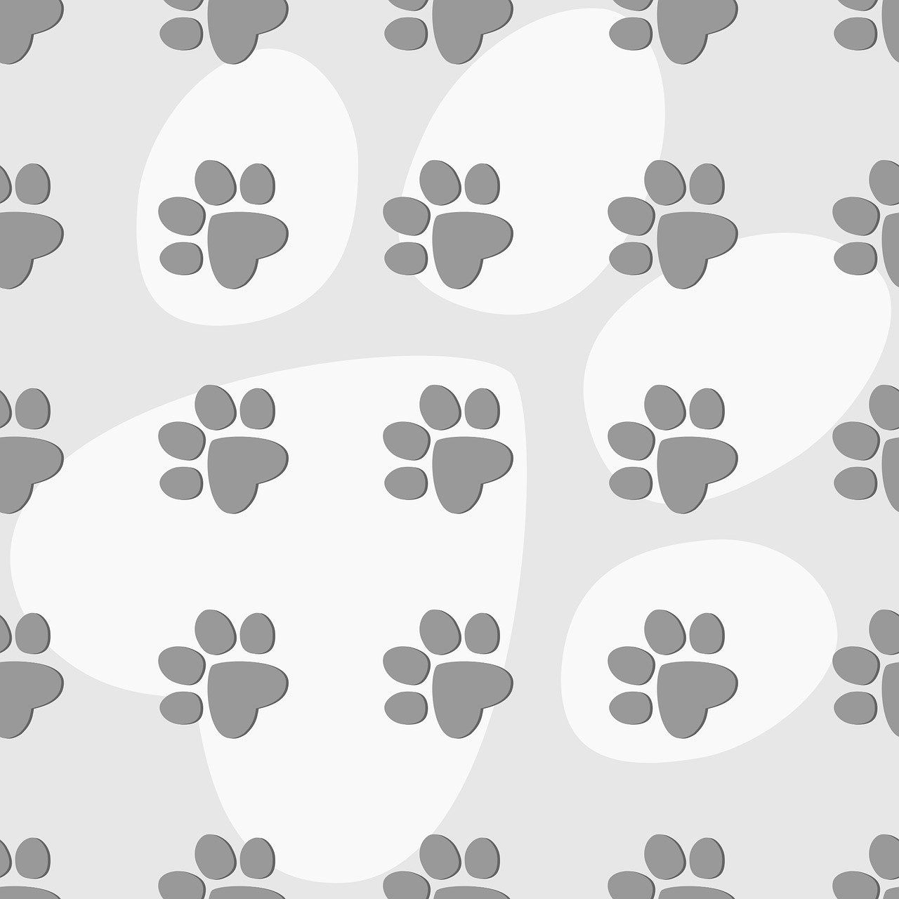 1280x1280 Download Cat Paws, Fingerprints, Dog