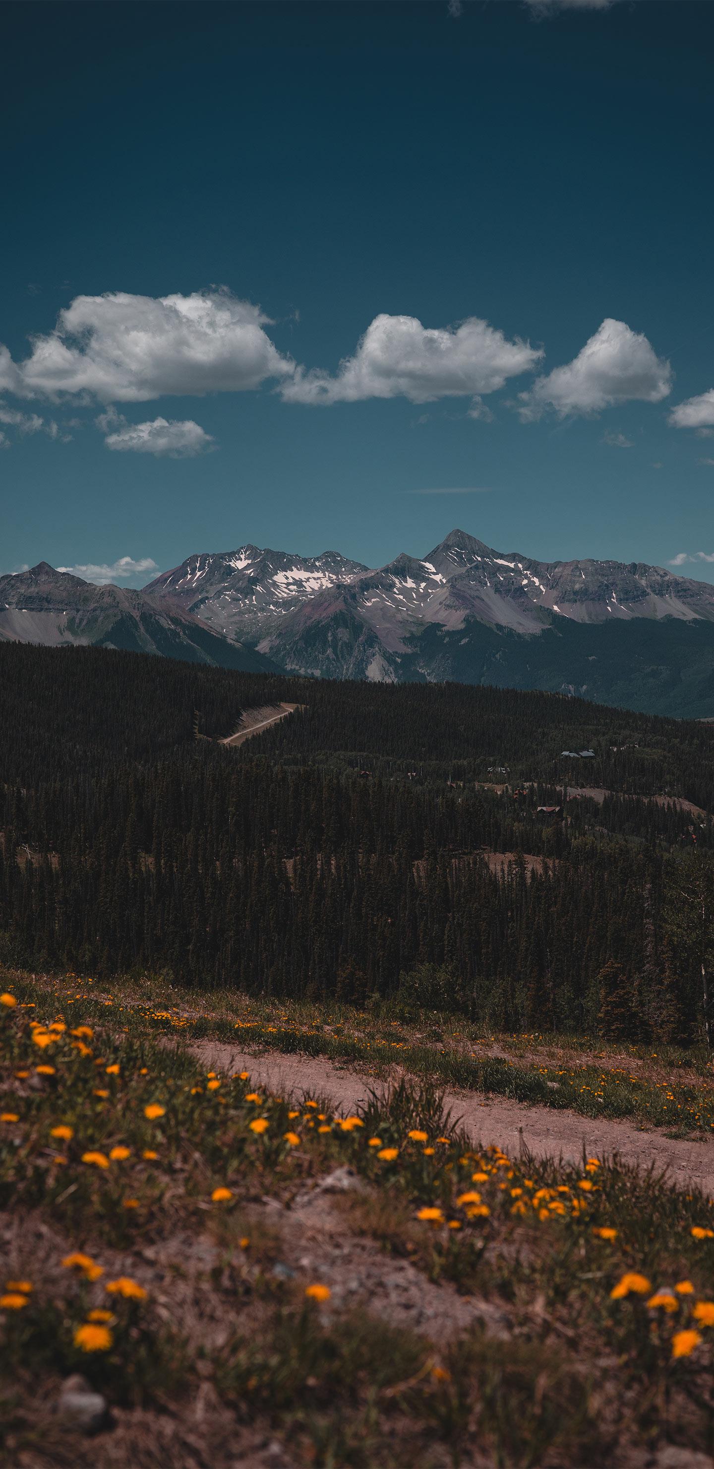 1440x2960 High Quality Free Google Pixel 2 / 2 XL / 3 / 3 XL Wallpaper