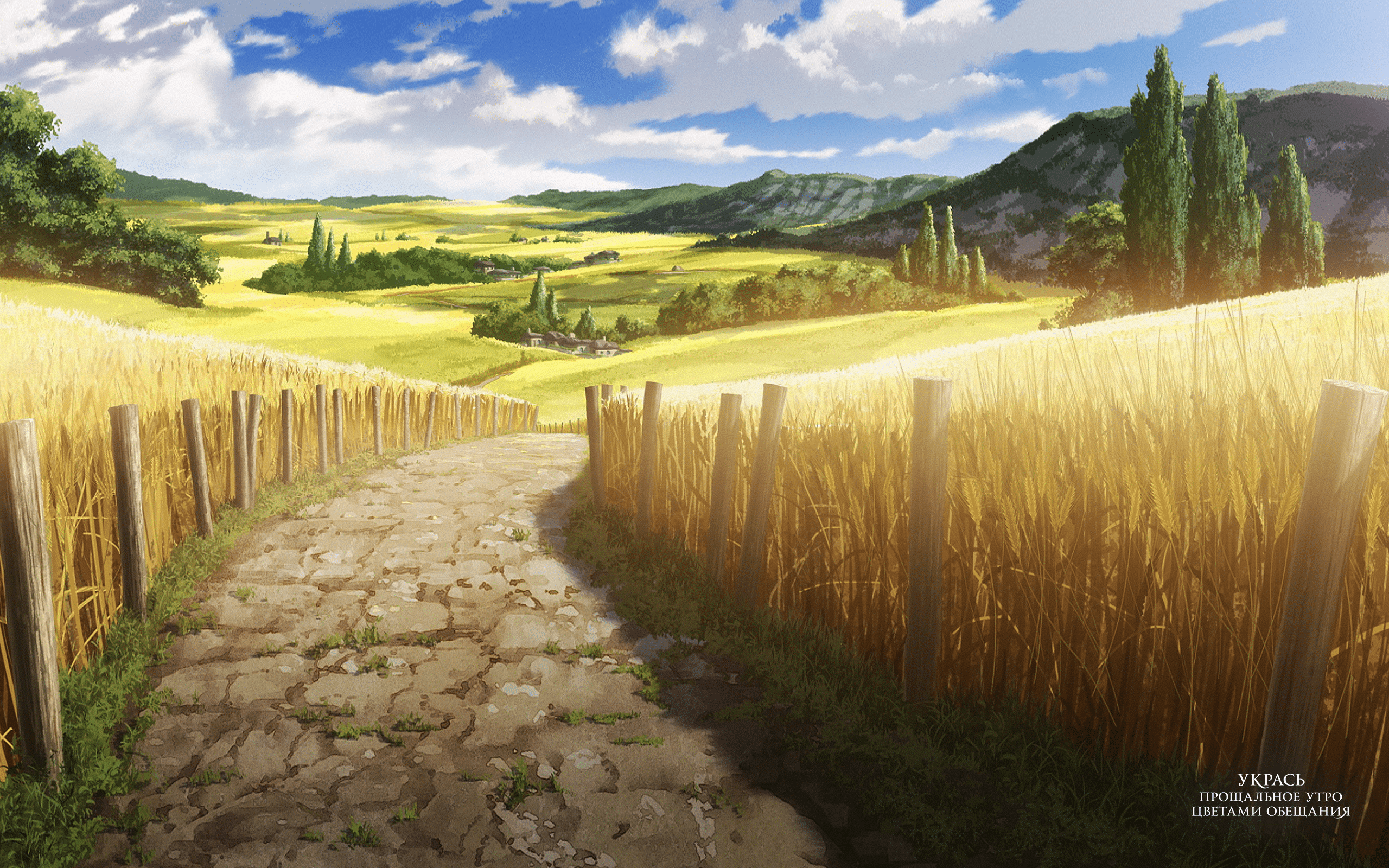 2560x1600 Download Anime Maquia: When