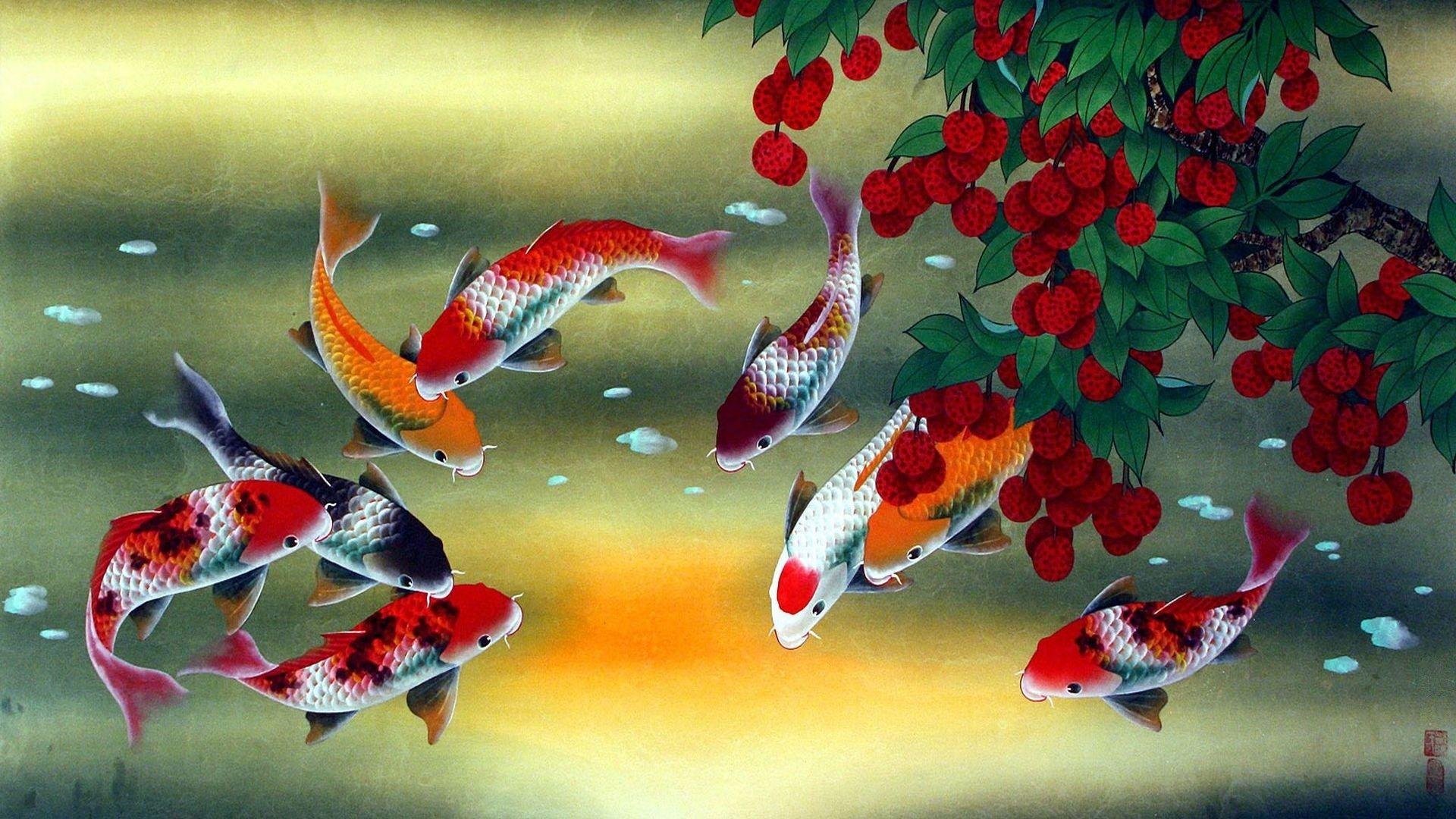 Green Koi Fish Wallpapers - Top Free Green Koi Fish Backgrounds