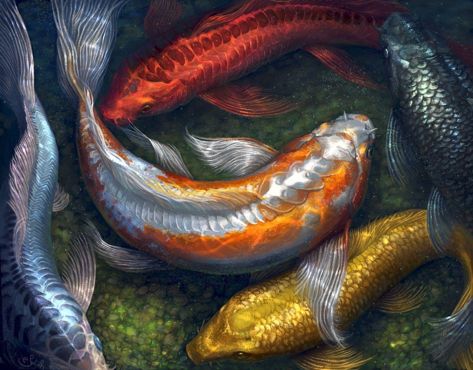 1600x1250 water paintings fish koi artwork pebbles 1600x1250 wallpaper High