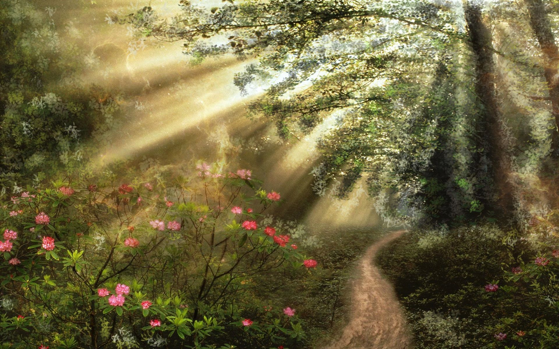 1920x1200 Download Sunbeam Sunshine Flower Path