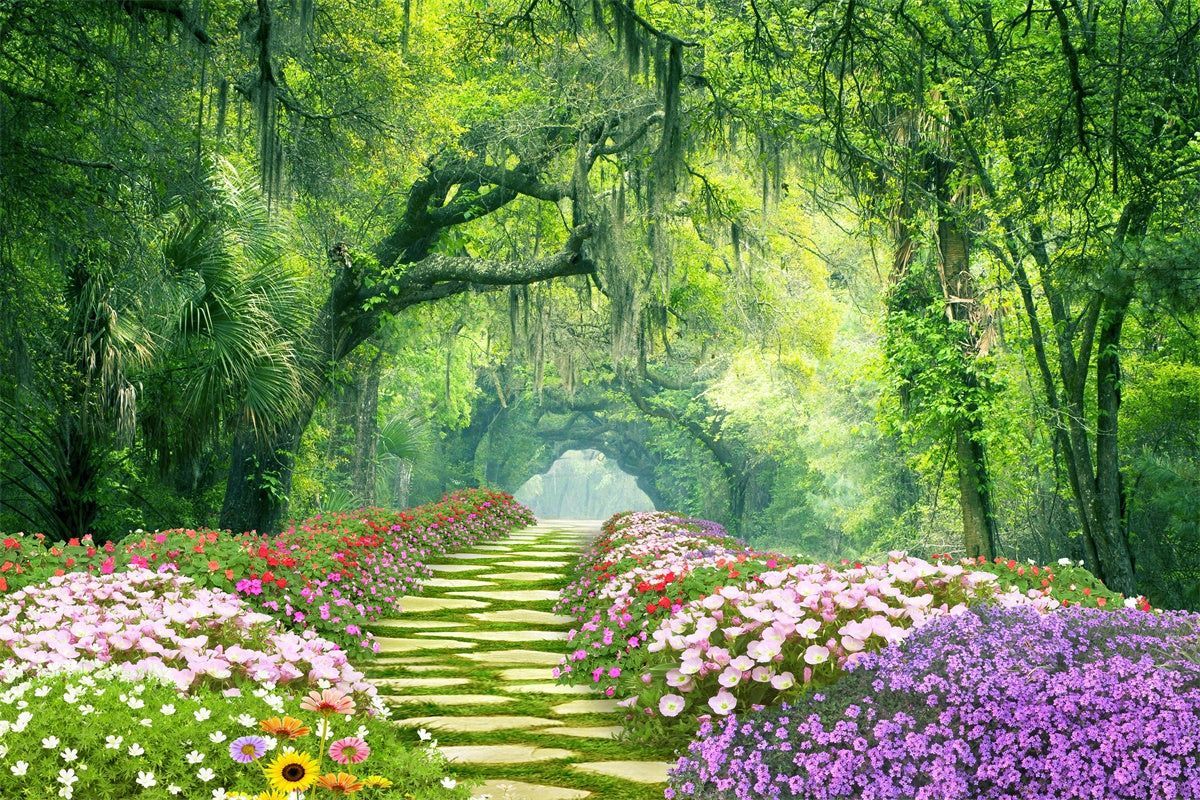 1200x800 Trail Mystic Forest Backdrop M1