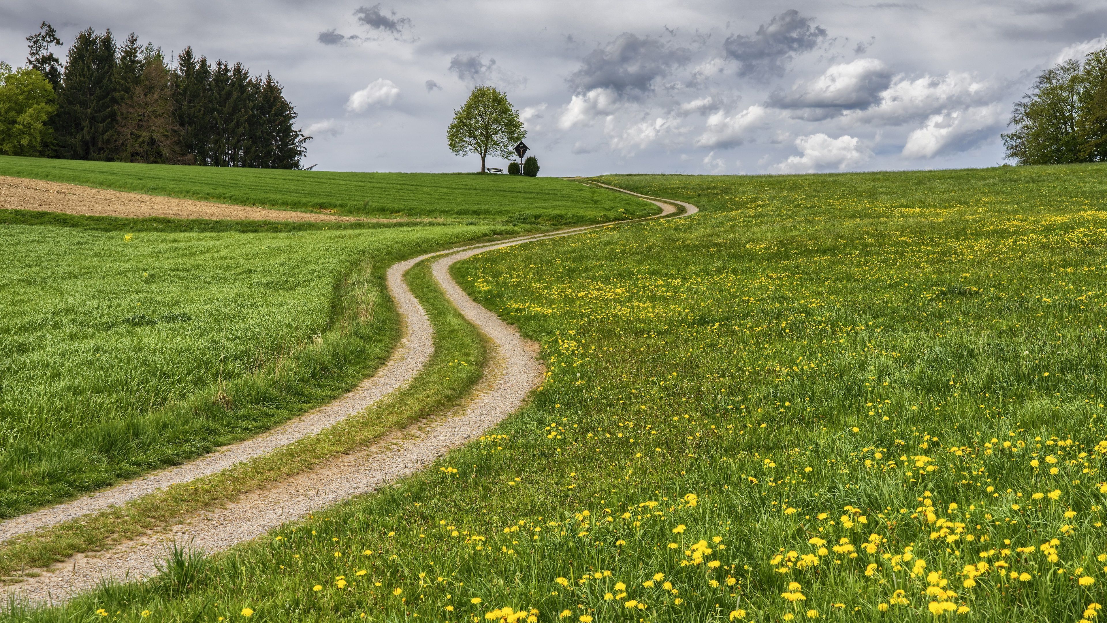 3840x2160 wallpaper: Grass, Summer, Flower, Road