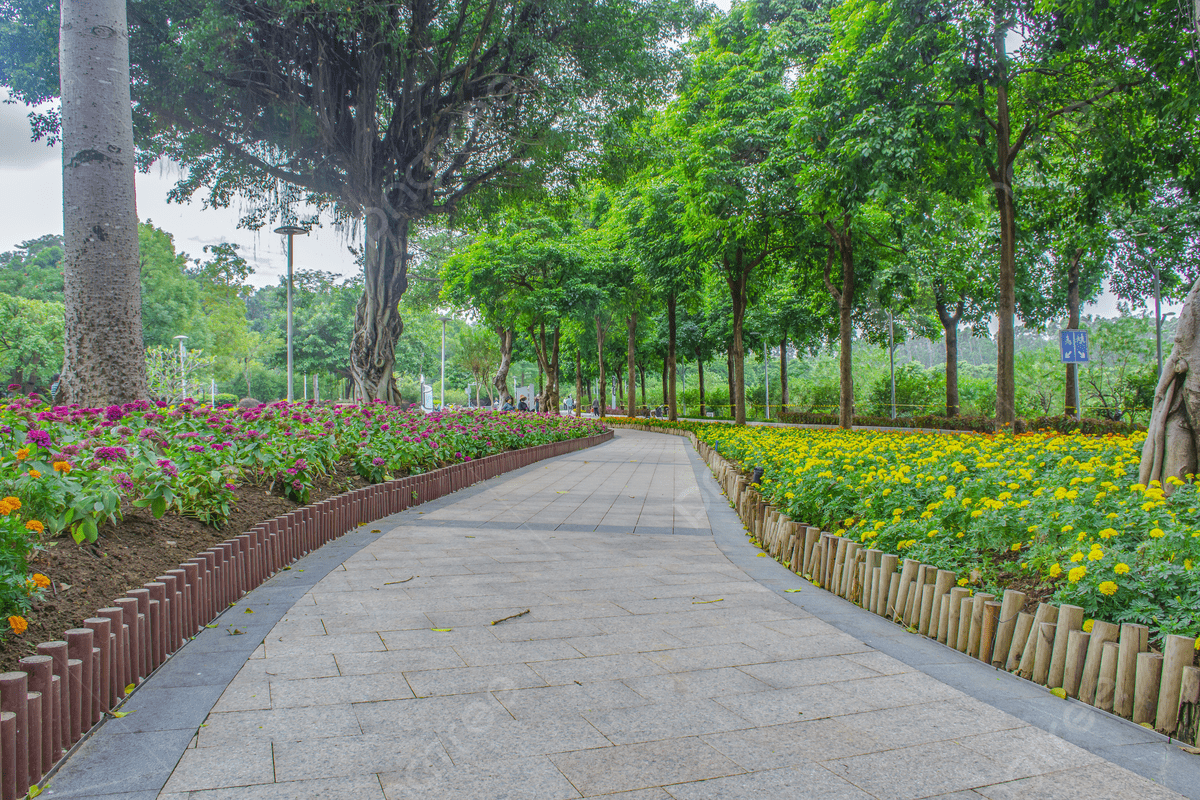 1200x800 Park Flower Path Photography Background