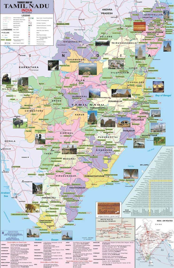 736x1135 Tamil Nadu Tour Map