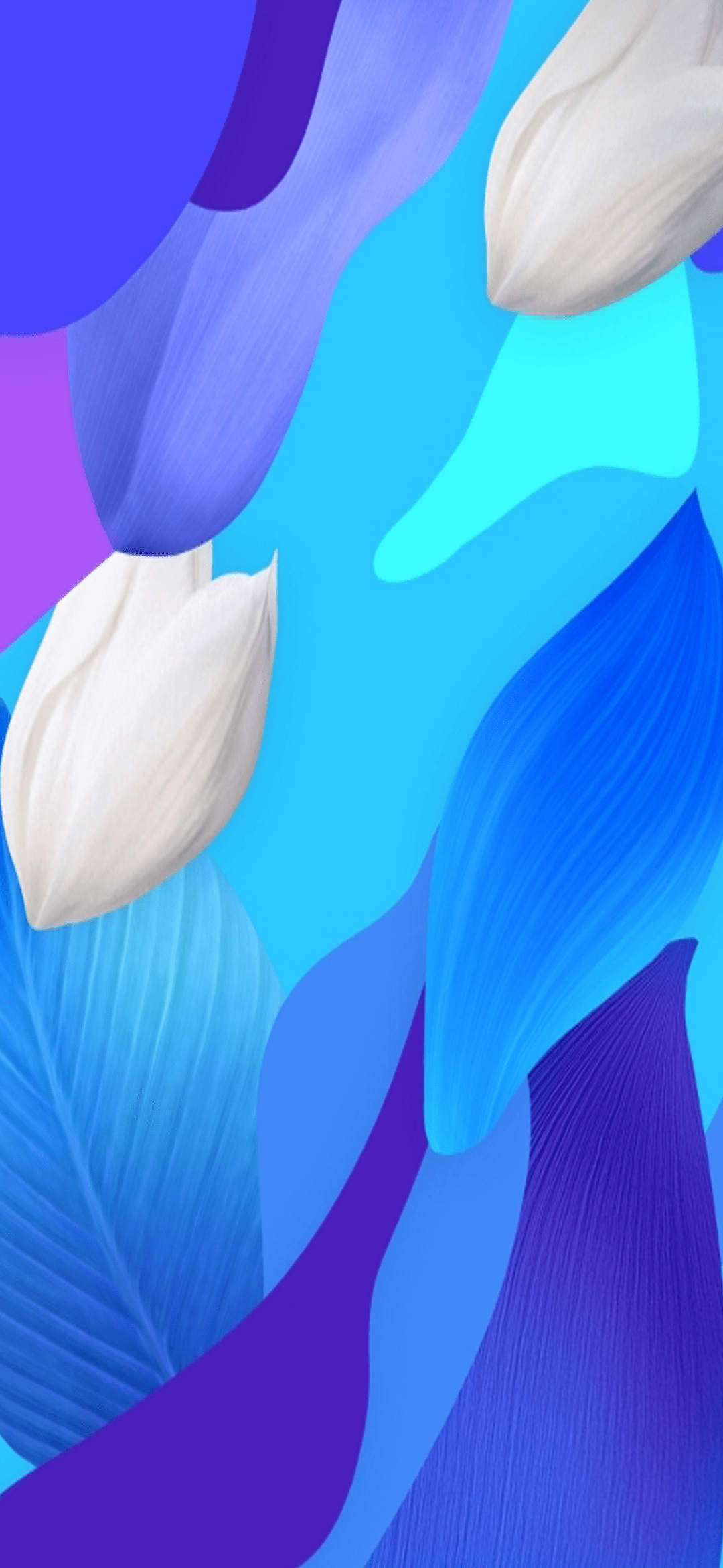 1080x2340 Tải xuống Hình nền chính thức của Huawei Nova 5 Pro tại đây!  Full HD
