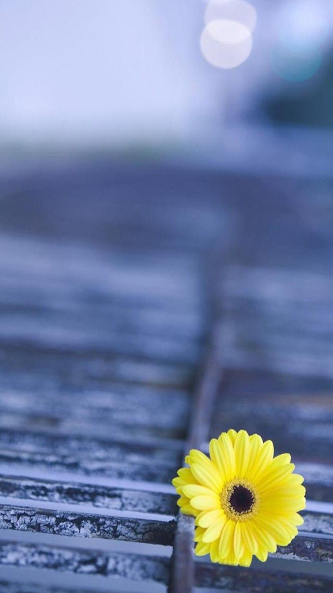1080x1920 Samsung Galaxy, View: Samsung Galaxy, Wallpaper