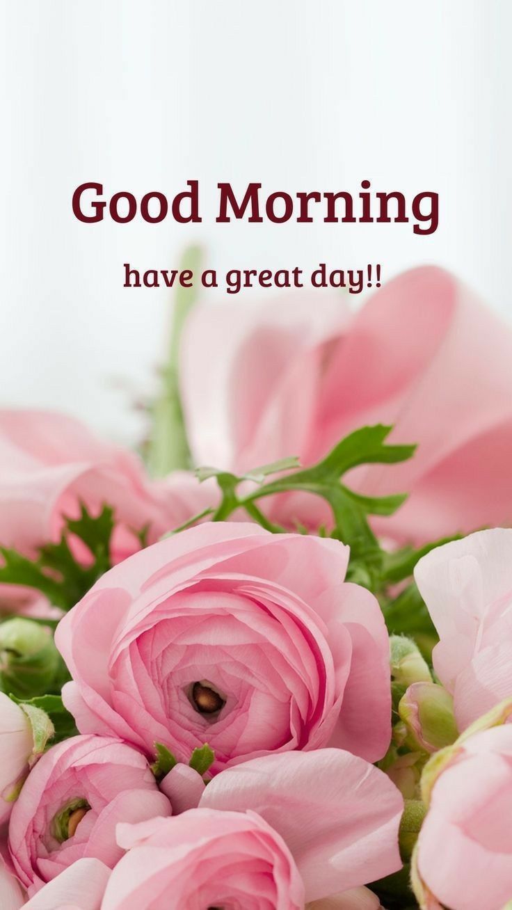 736x1308 good morning greetings