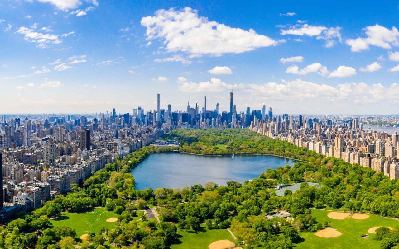 Picture of The Ruthless Lawyer Came Home Early—and Froze When He Saw What the ...