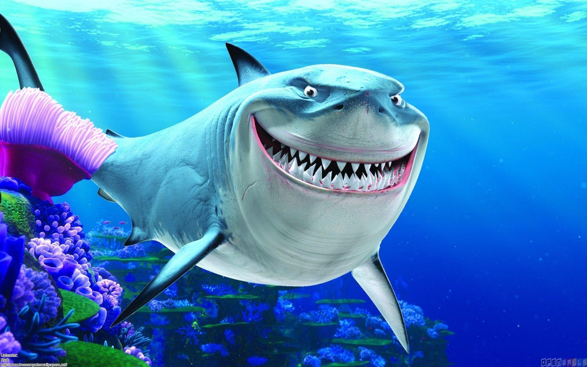 Hình nền HD 1920x1200 Finding Nemo Bruce cho iPad Air 2 - Phim hoạt hình