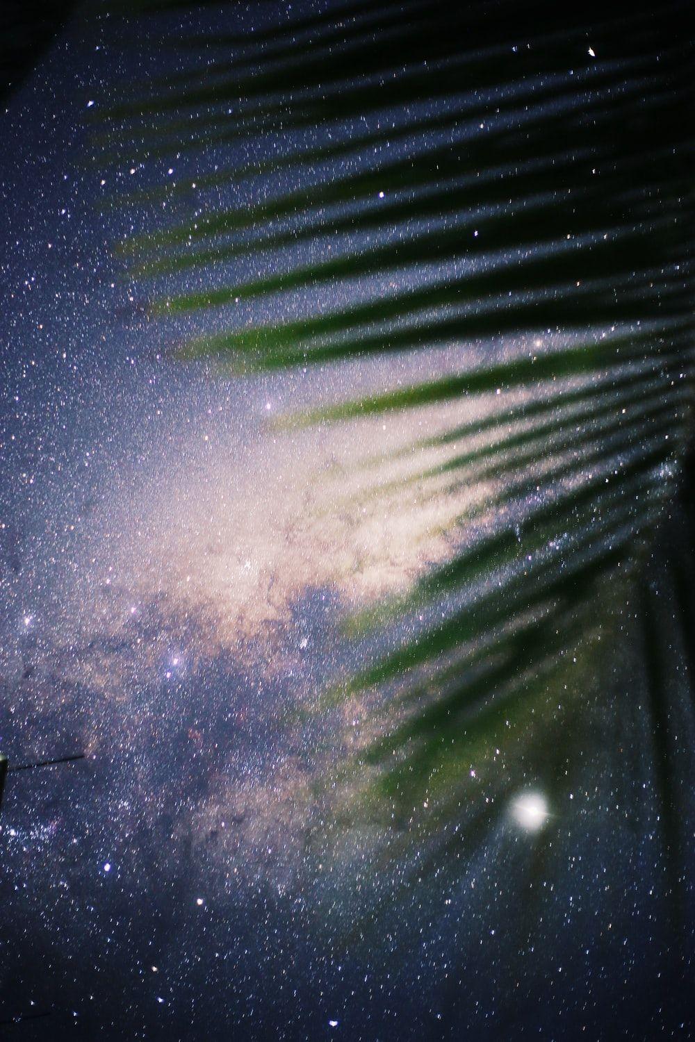 1000x1500 iPad Wallpaper: Free HD Download [HQ]