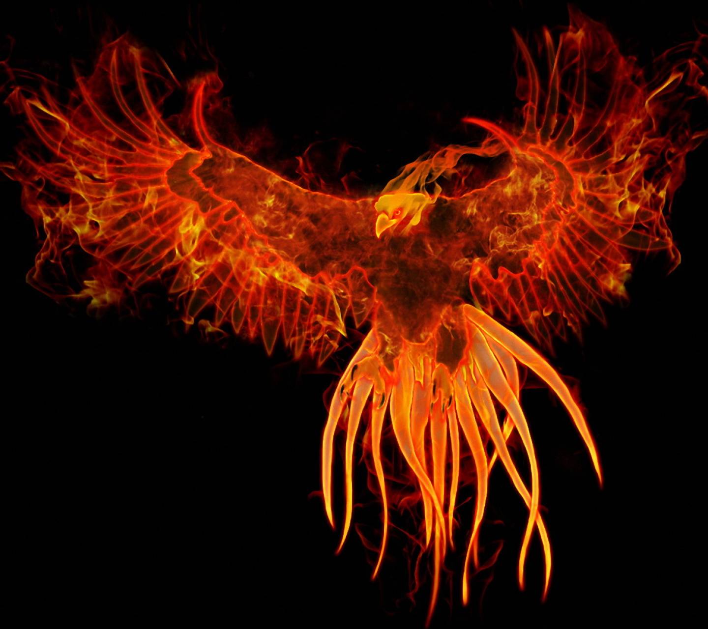 Fire Phoenix Wallpapers - Top Free Fire Phoenix Backgrounds -  WallpaperAccess