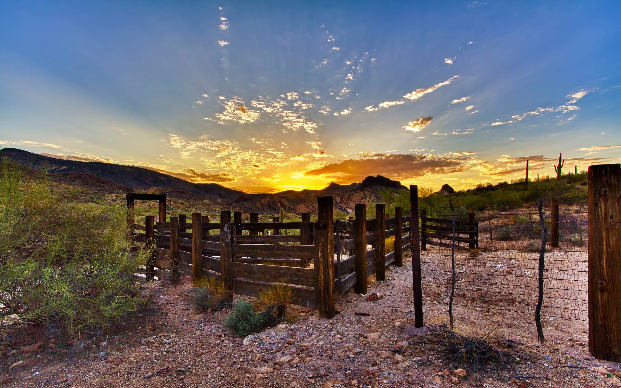2560x1600 Wallpaper Chandler AZ