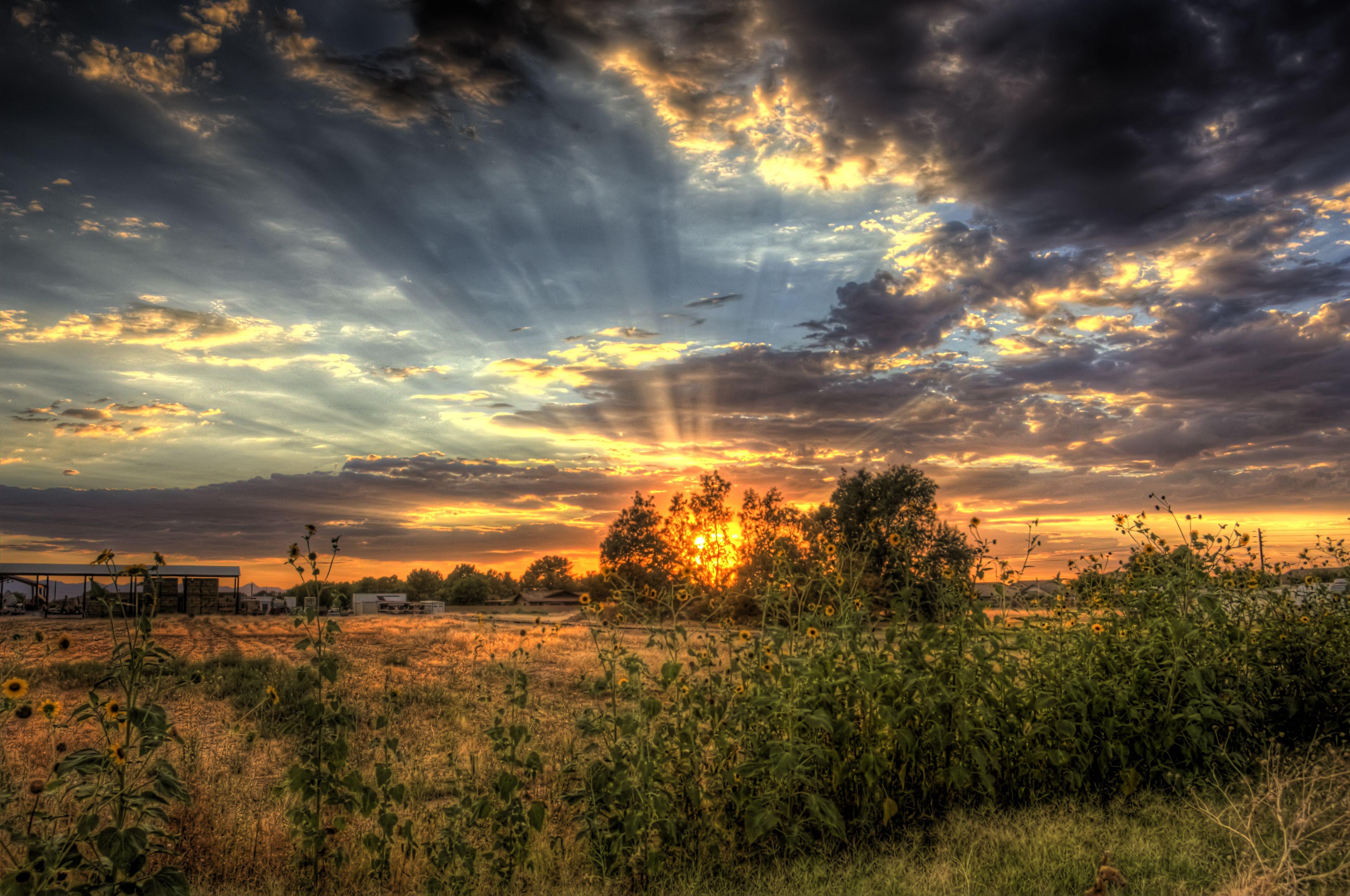 4254x2824 Arizona Wallpaper High Quality