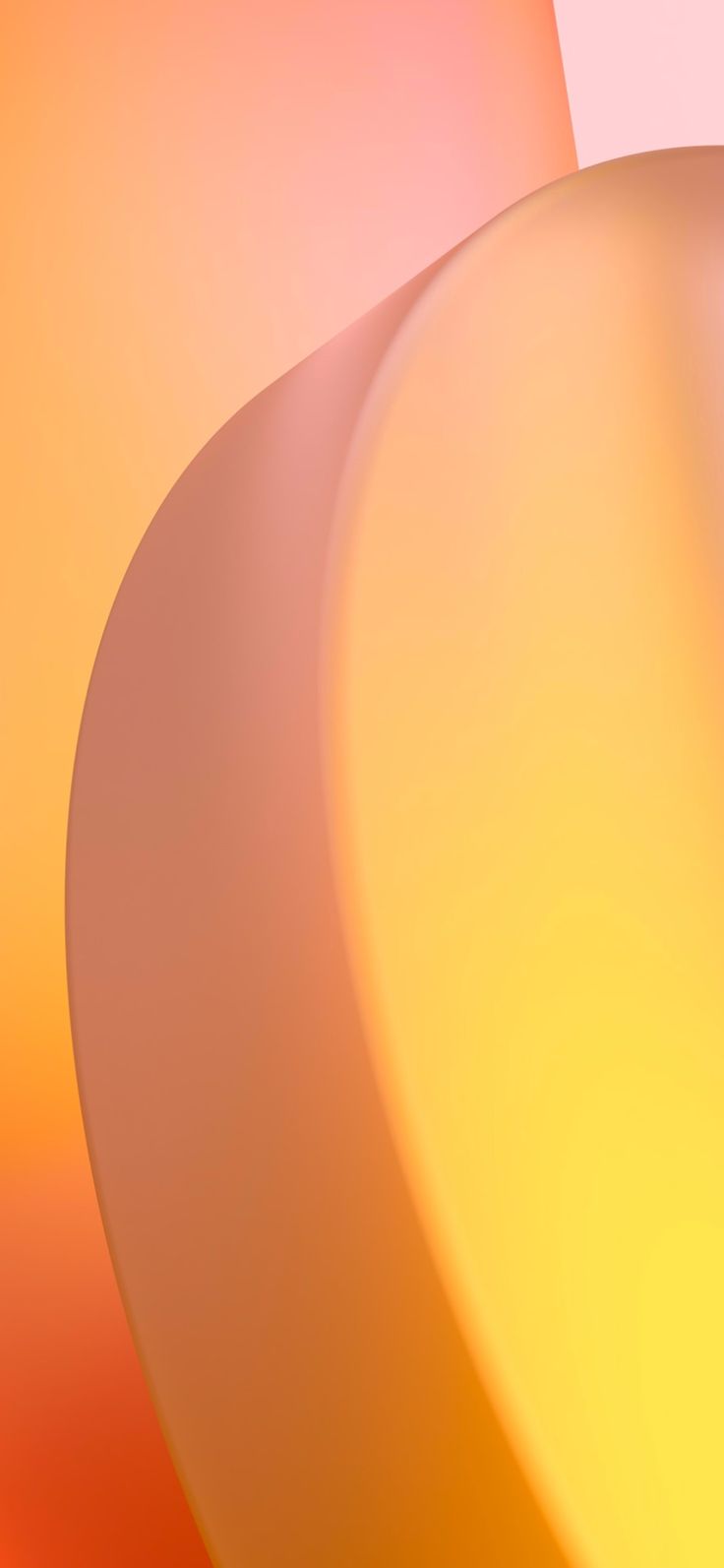 736x1593 Chrome Book Wallpaper