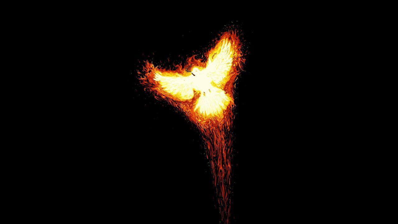 Phoenix Rising Wallpapers - Top Free Phoenix Rising Backgrounds