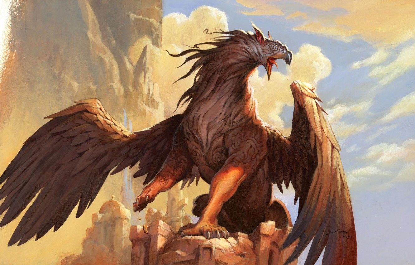 Griffin Wallpapers - Top Free Griffin Backgrounds - WallpaperAccess