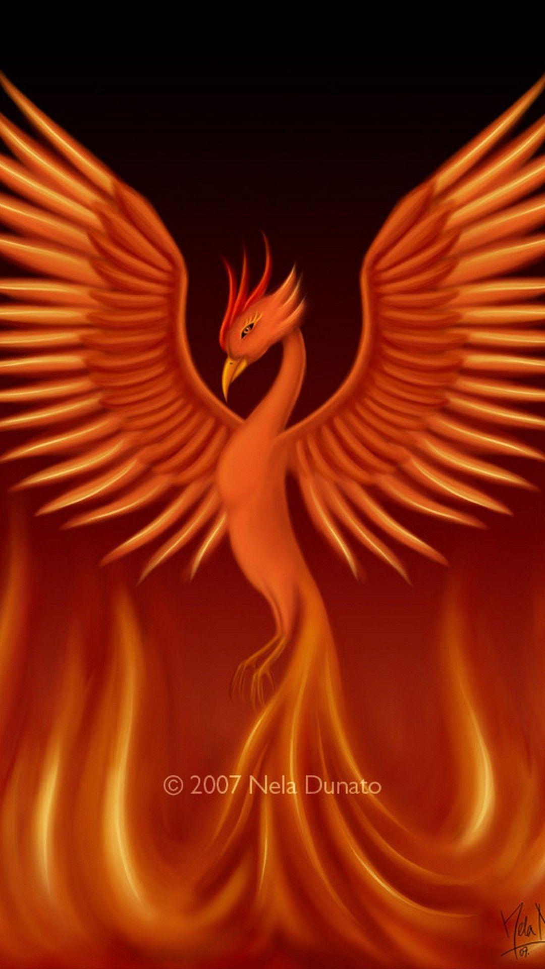 1080x1920 Dark Phoenix Wallpaper Android Android Wallpaper