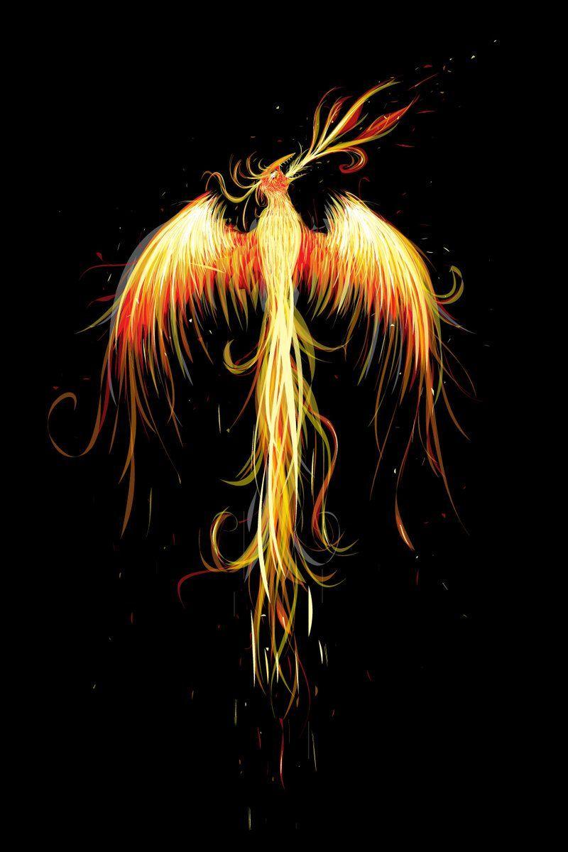 dragon spring phoenix rise promo code