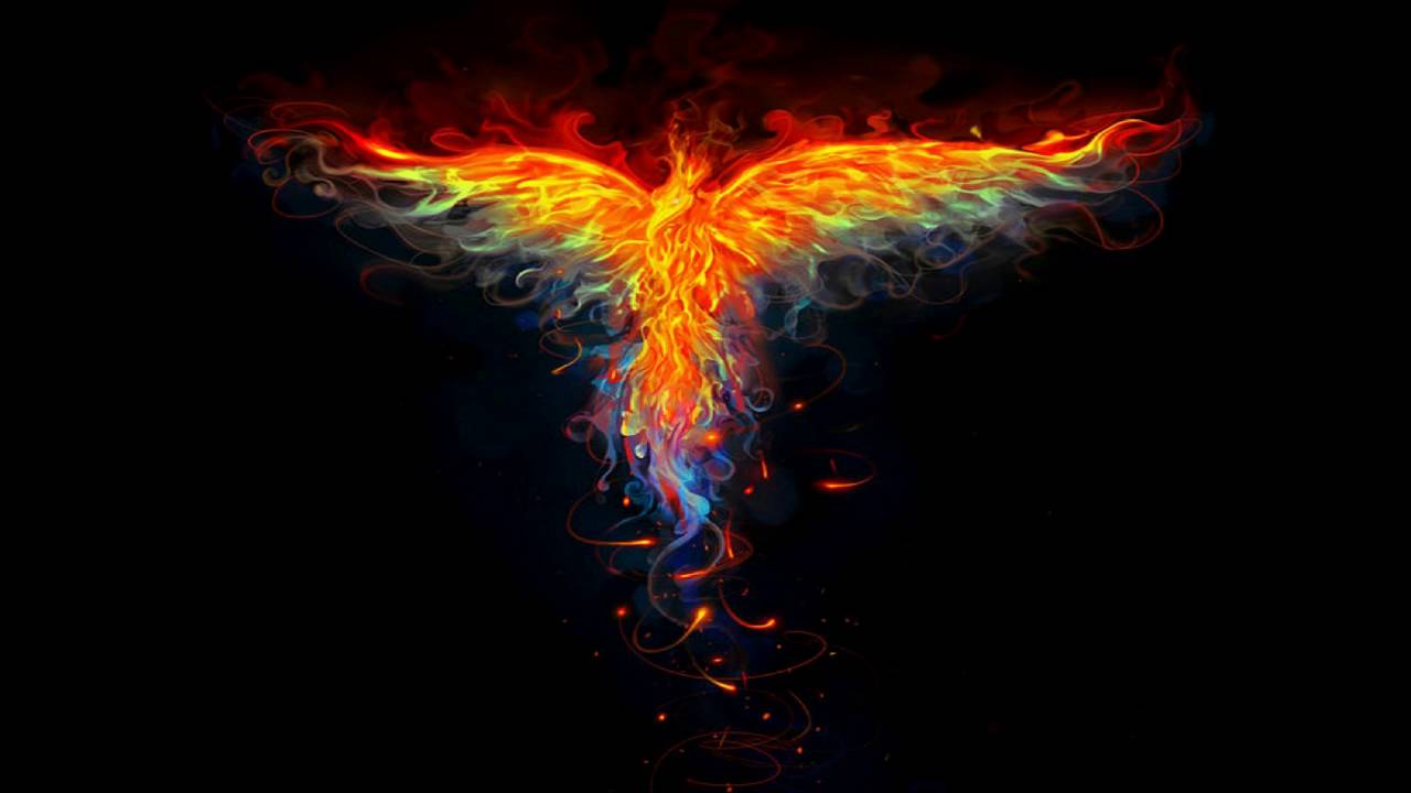 Phoenix Rising Wallpapers - Top Free Phoenix Rising Backgrounds ...