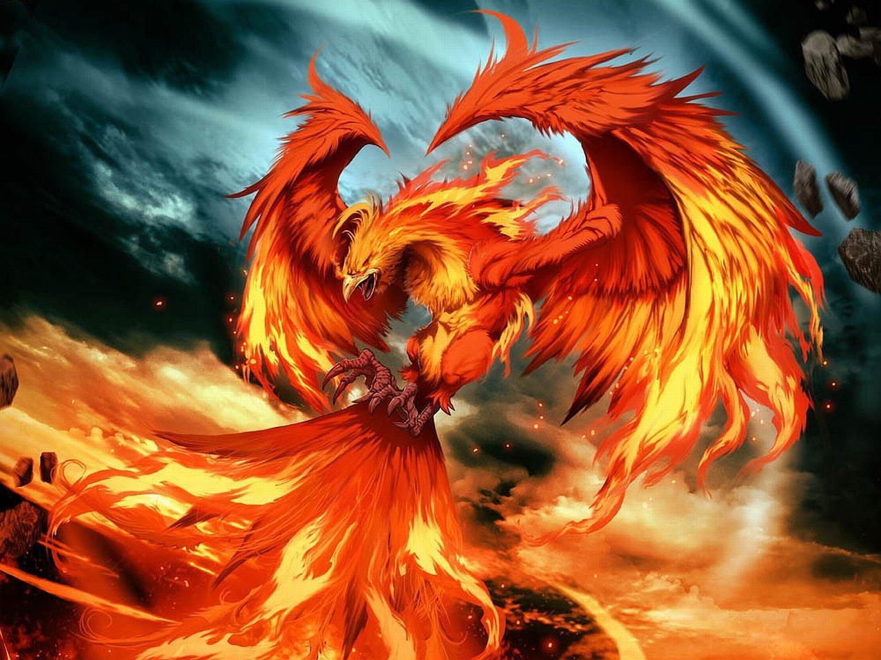 Cool Phoenix Wallpapers - Top Free Cool Phoenix Backgrounds ...