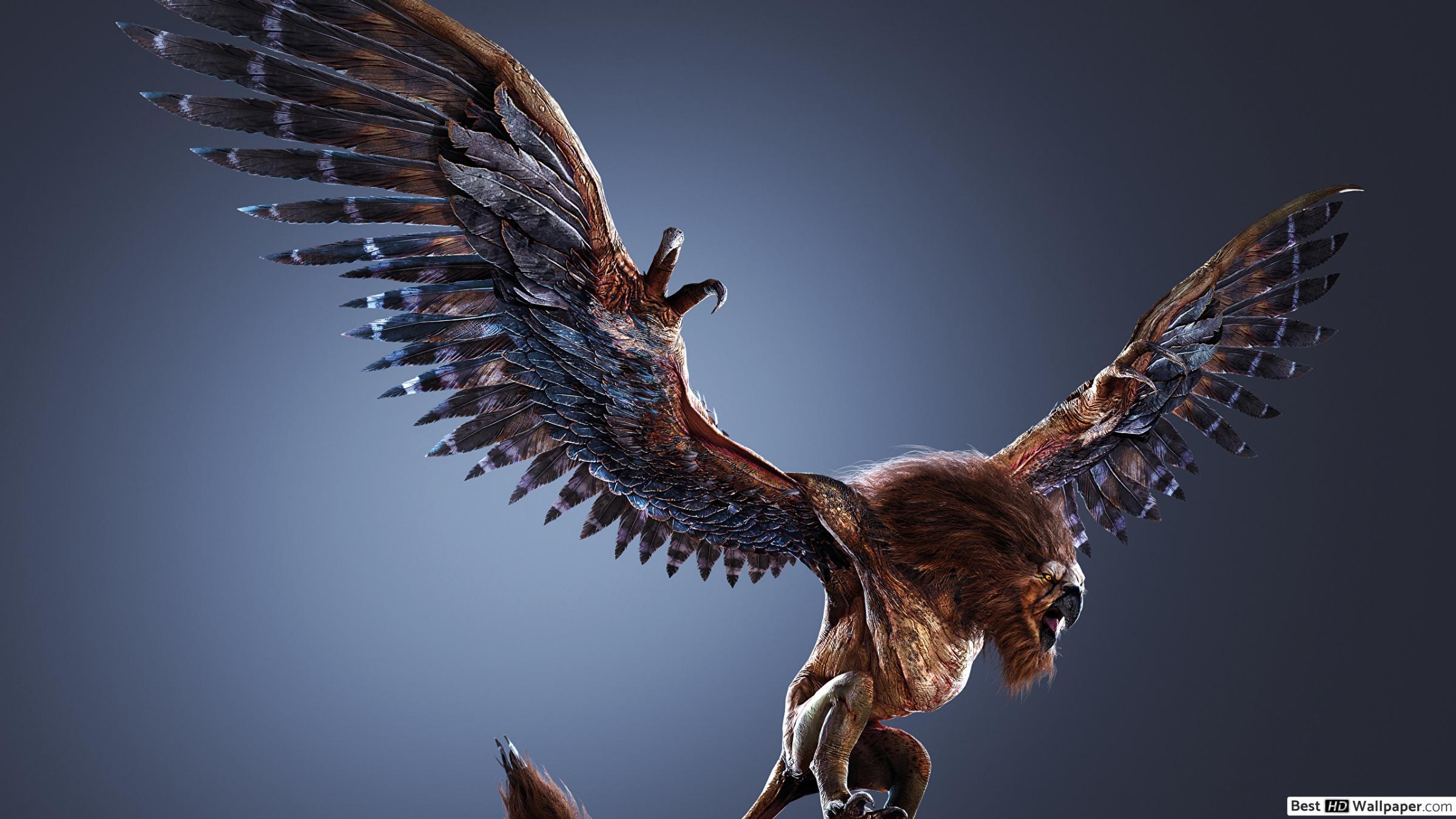 Griffin Wallpapers - Top Free Griffin Backgrounds - WallpaperAccess