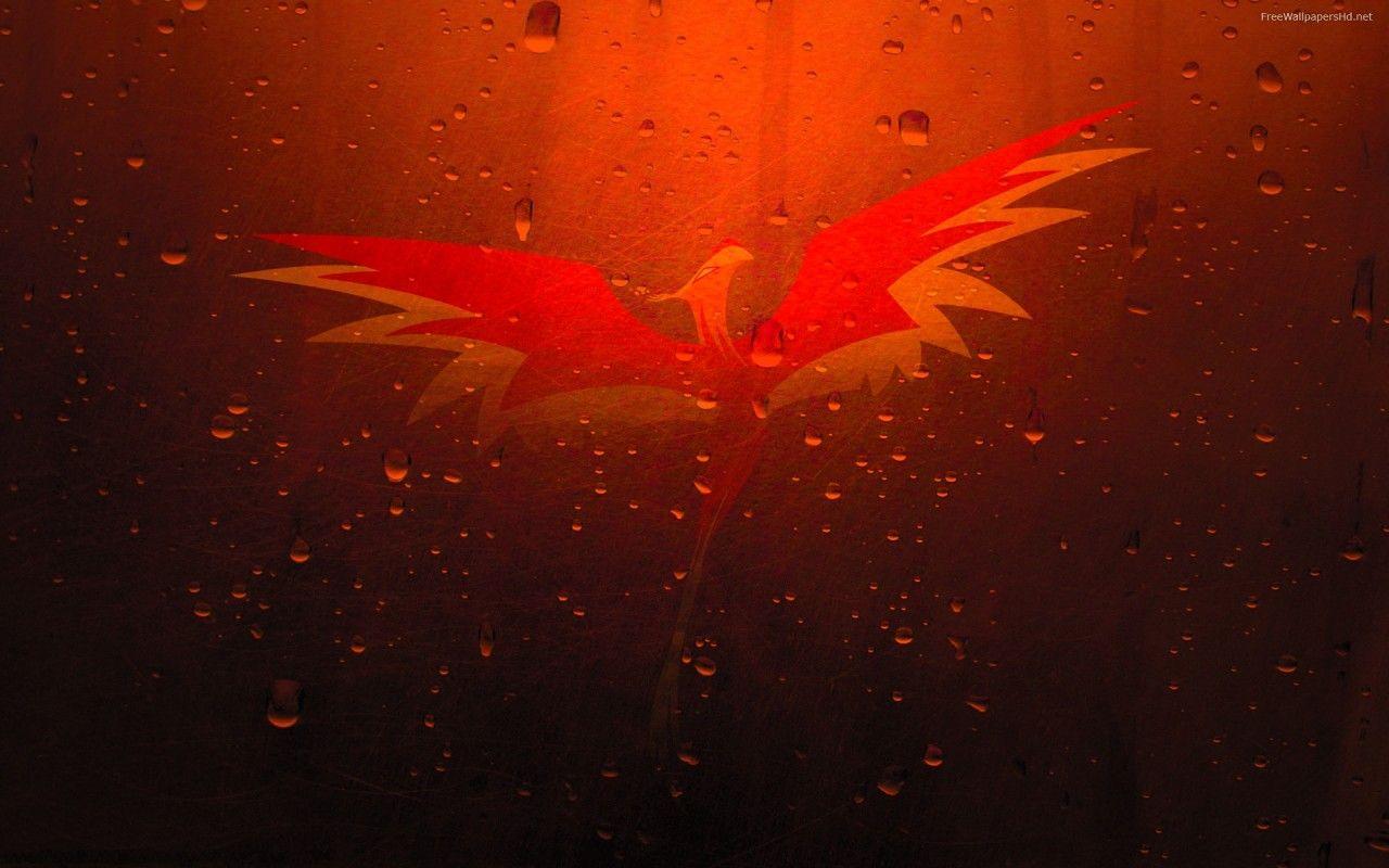 1280x800 Phoenix, birds, fire wallpaper. Phoenix, birds, fire stock