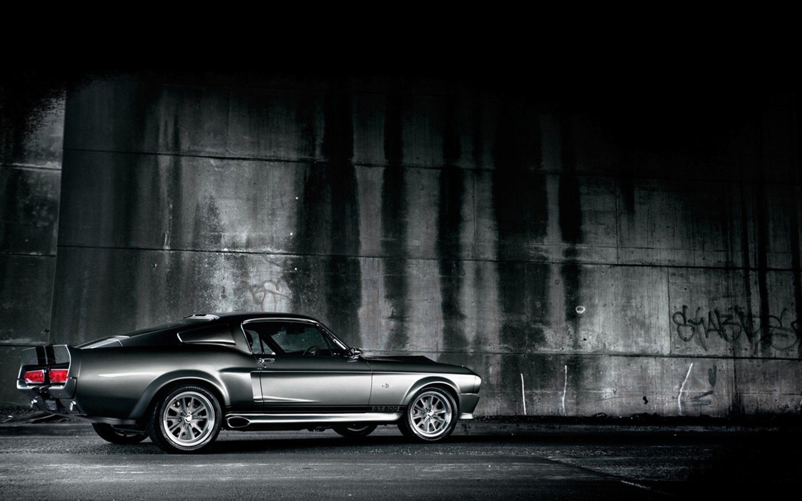 2560x1600 Shelby Cobra Gt500 Wallpaper Mustang Fast