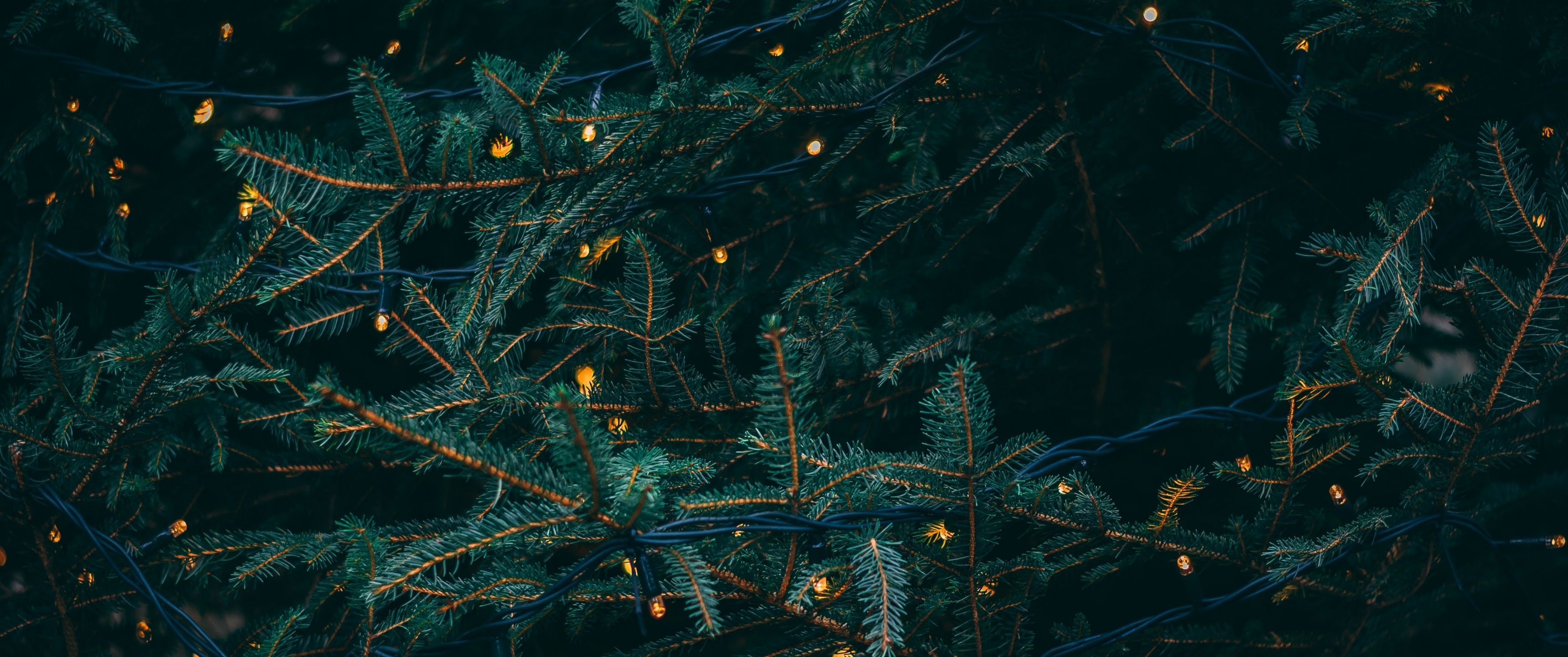 Christmas Ultrawide Wallpapers Top Free Christmas Ultrawide — free download