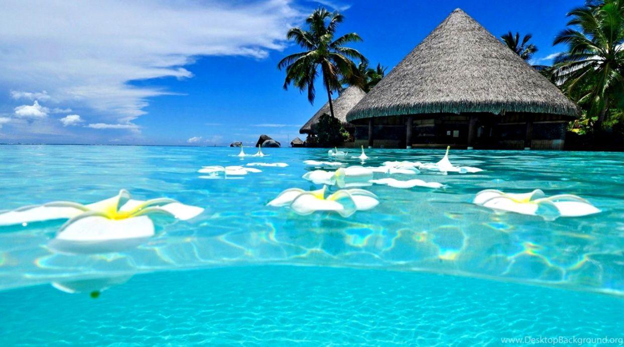 1243x691 Exotic Tropical Island Wallpaper