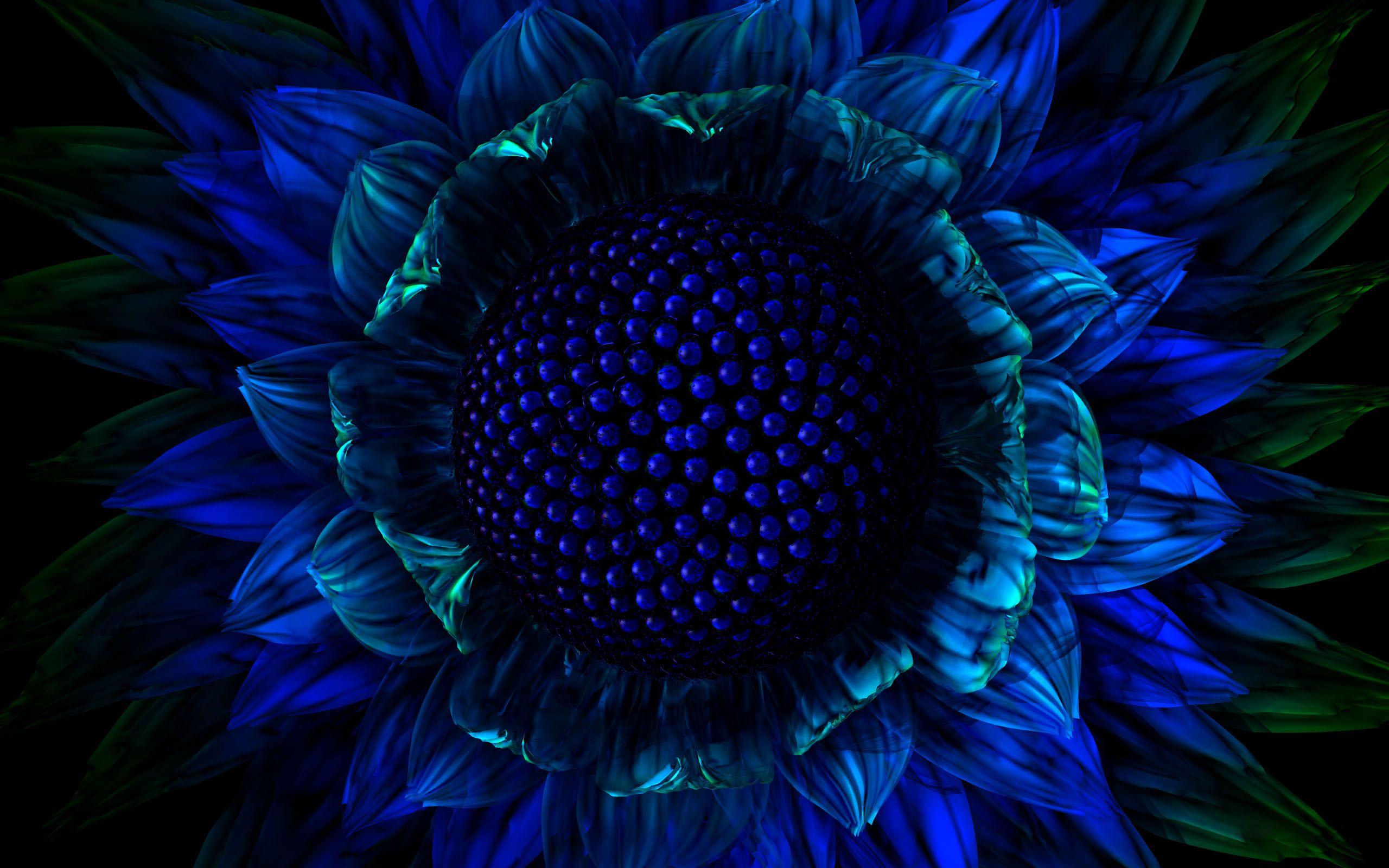 2560x1600 Exotic Flower Wallpaper