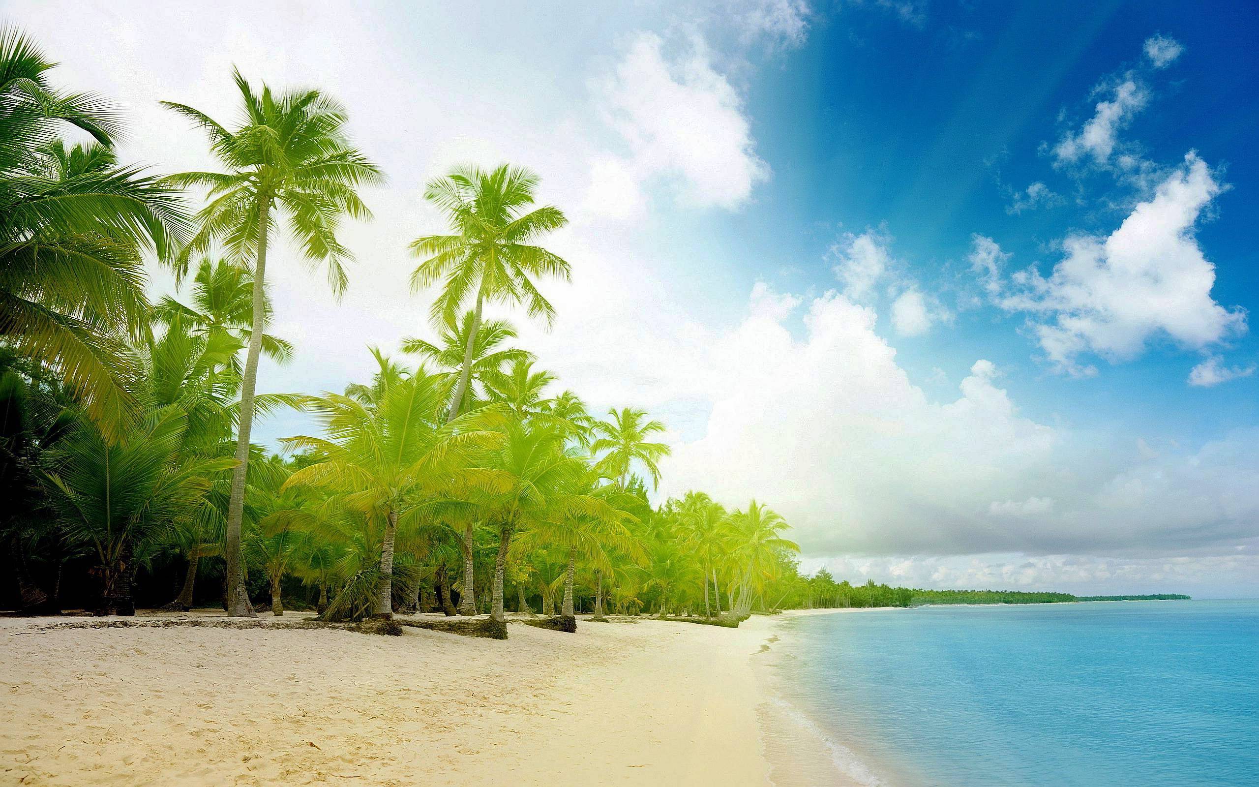 2560x1600 Exotic Background. Exotic