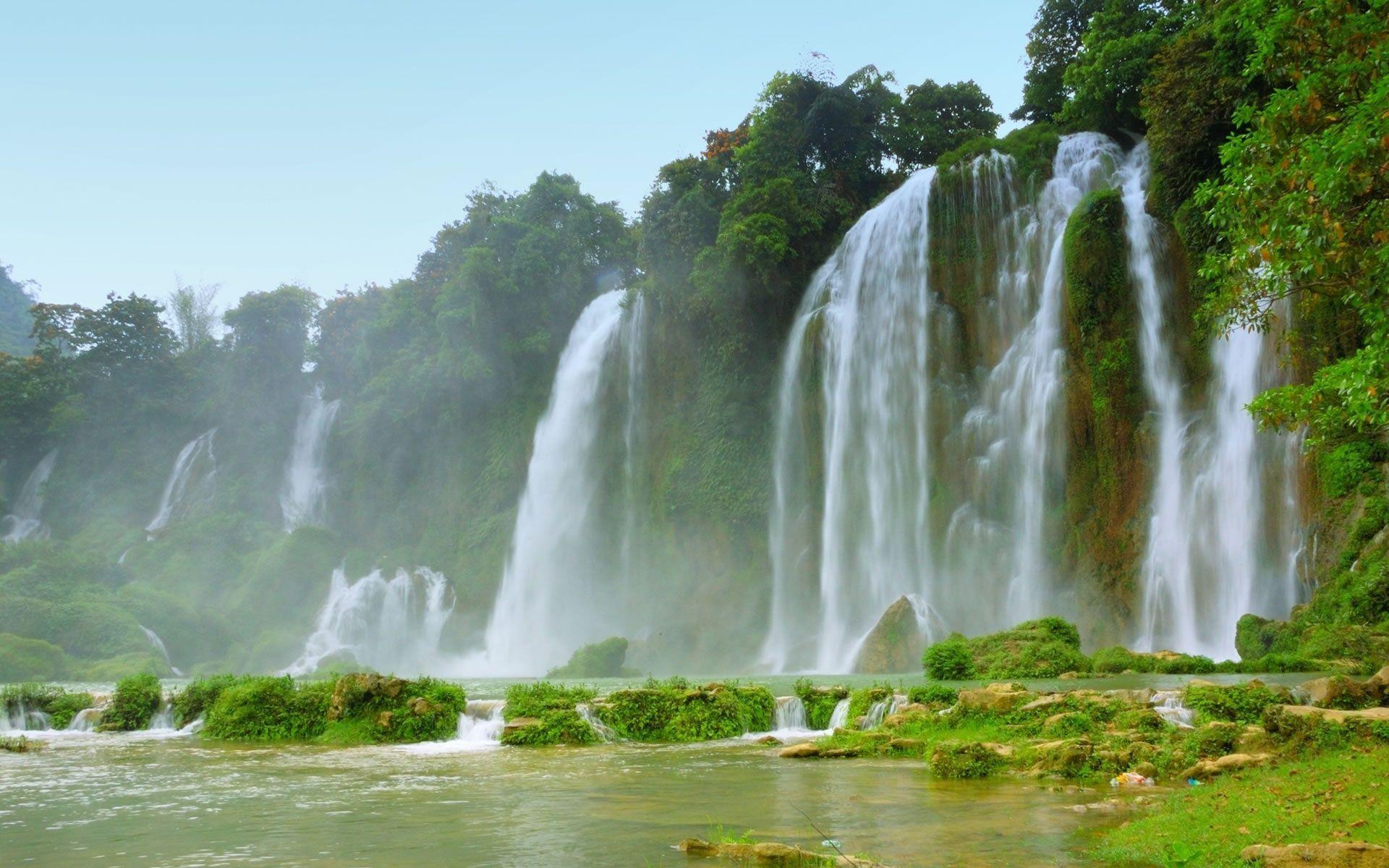 1920x1200 Free Exotic Wallpaper X6GV5