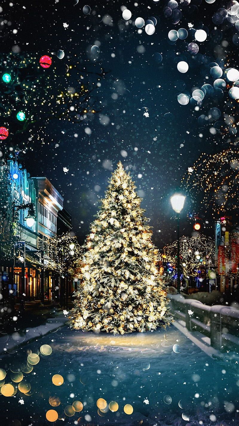 800x1422 Christmas season, christ, christmas tree, lights, night, snow, tree, village, HD phone wallpaper