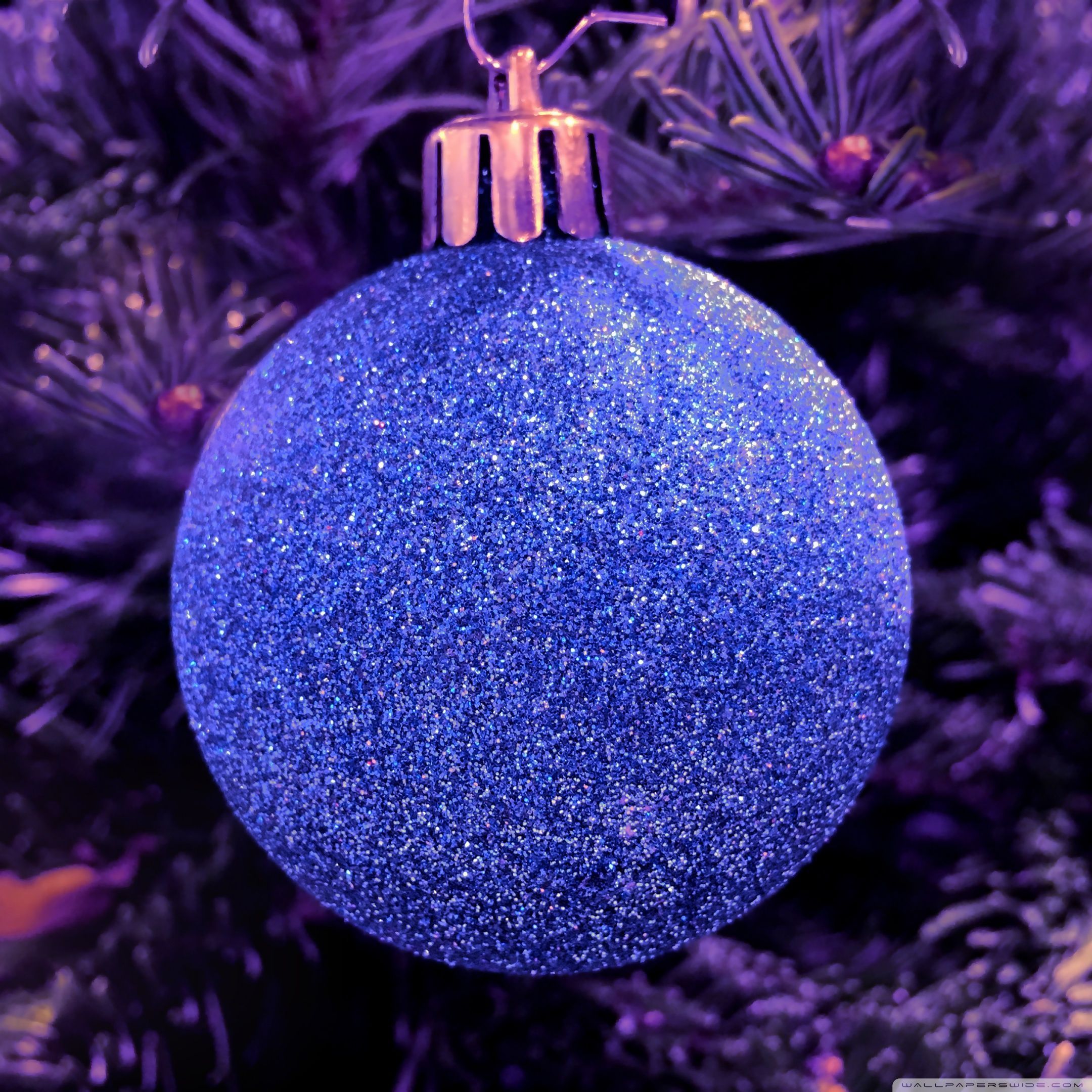 2160x2160 Purple Christmas 5K Ultra HD Wallpaper