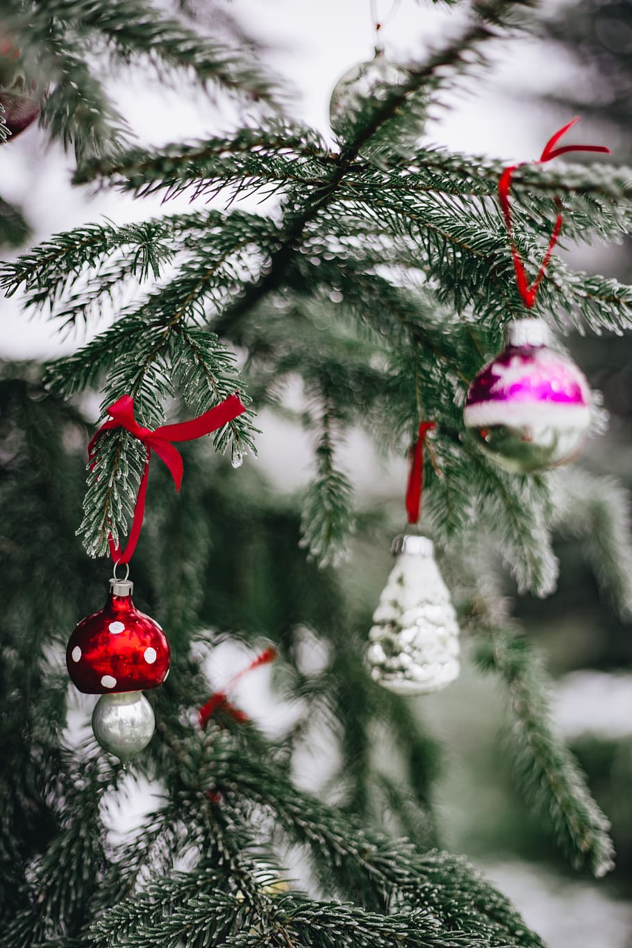 910x1365 Christmas, Tree 1080P, 2K, 4K