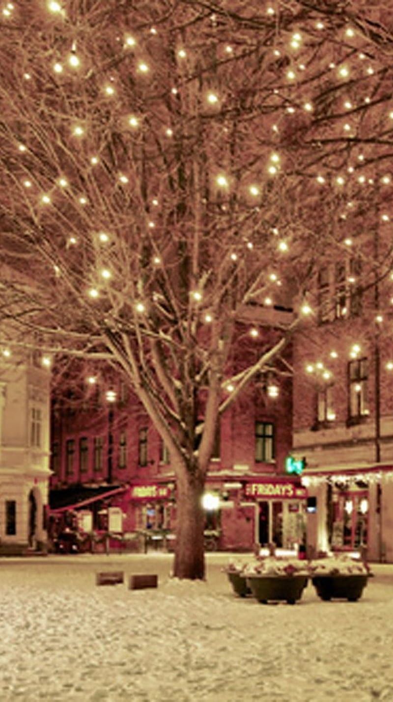 800x1430 Christmas Lights, city, snow, tree, HD
