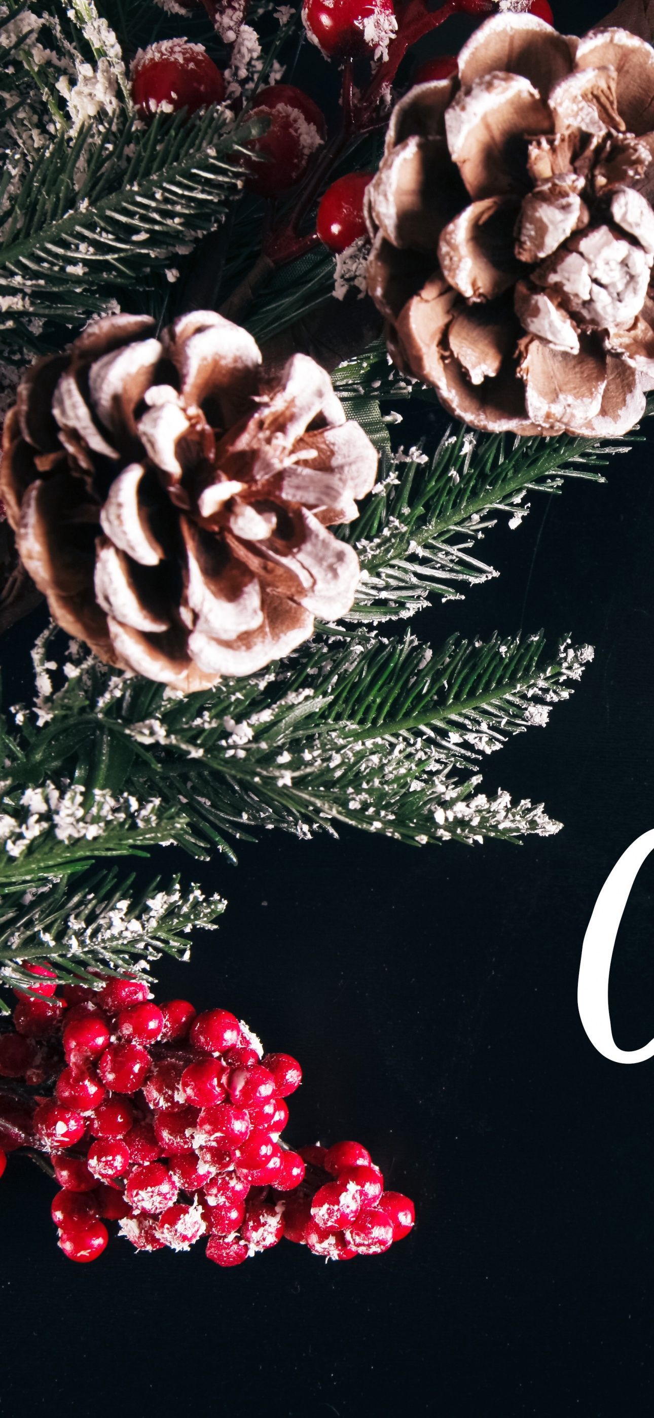 1290x2796 Merry Christmas Wallpaper 4K