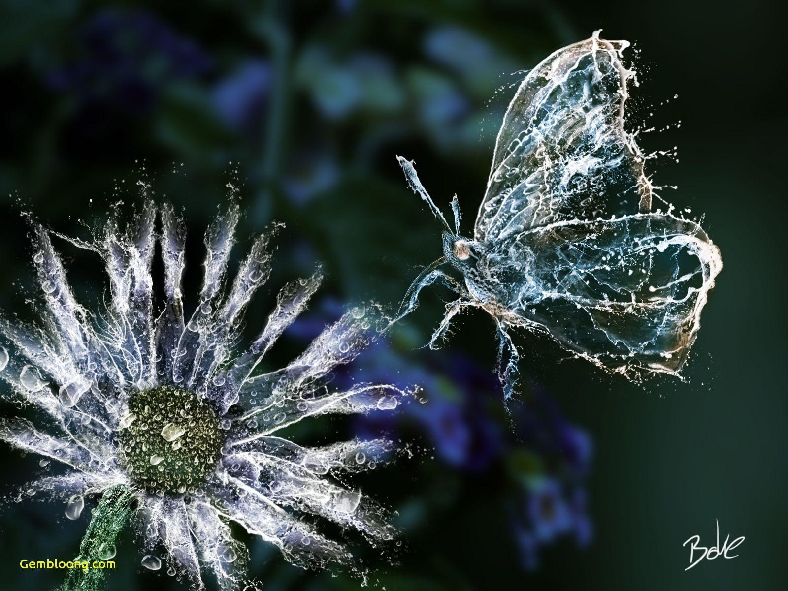 1600x1201 px Unbelievable Wallpaper- Wallperio