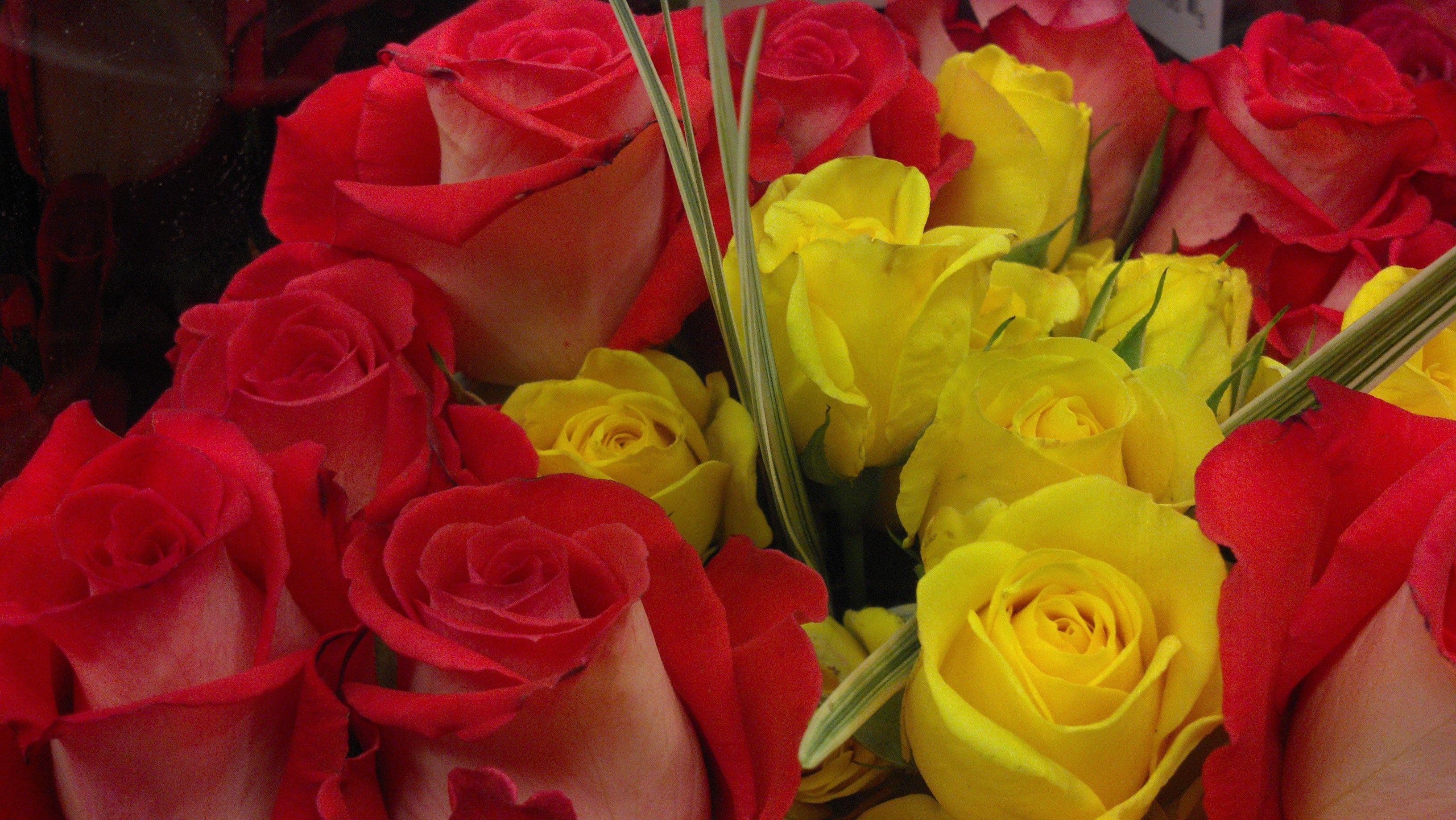 3264x1840 Yellow And Red Roses Wallpaper's Blog