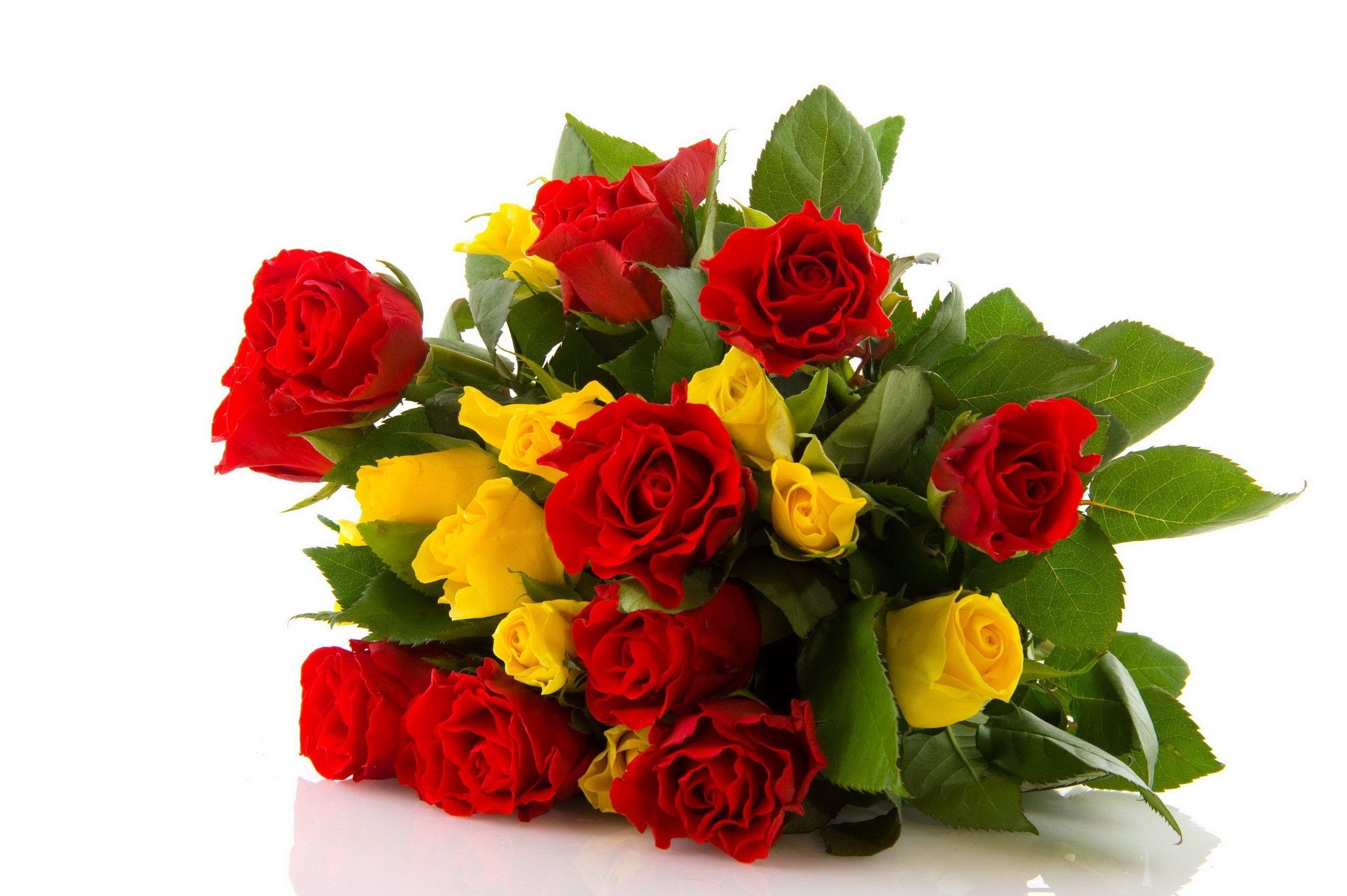 2628x1749 Rose, Flower, Red, Yellow wallpaper and background