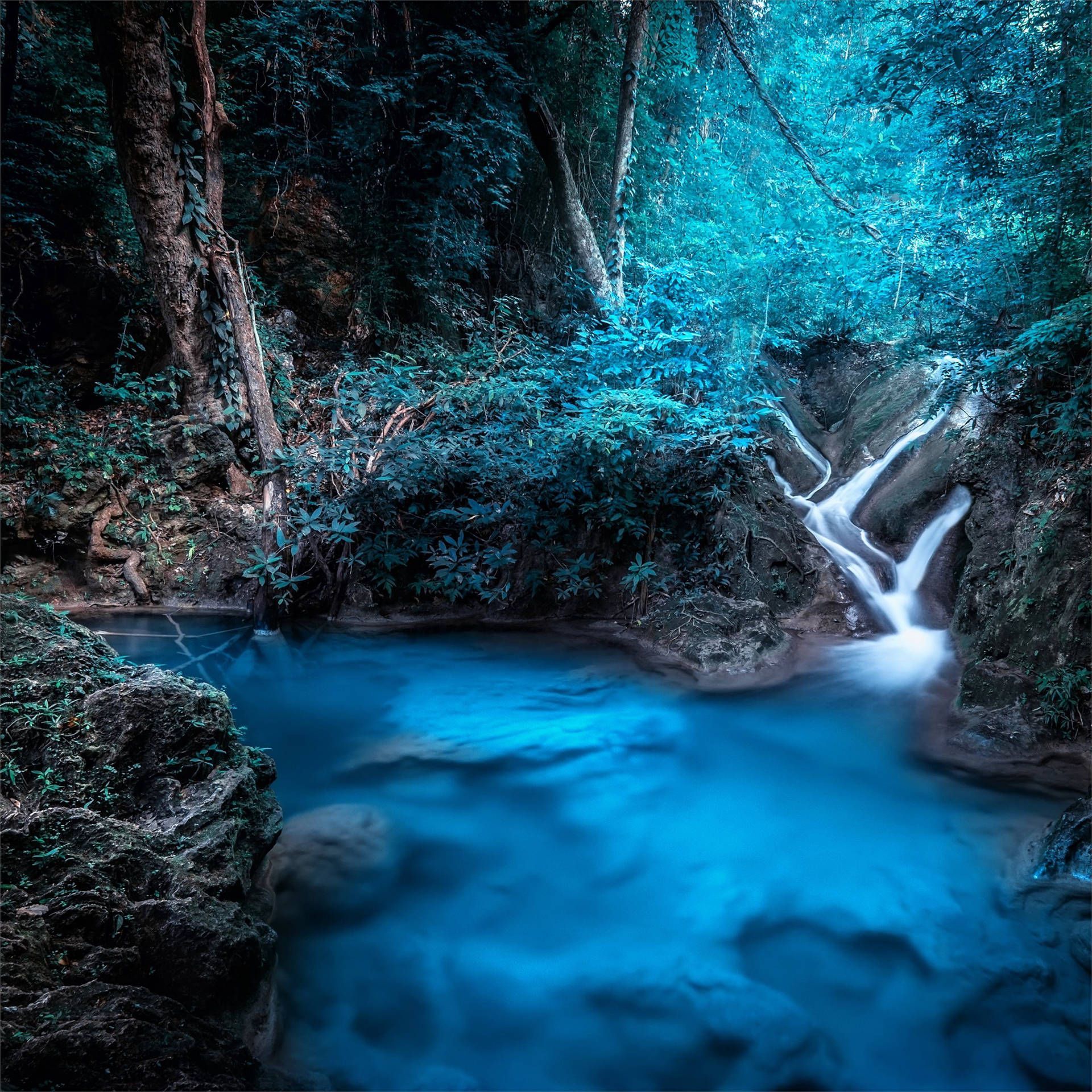 1920x1920 Forest Waterfall Fantasy Wallpaper
