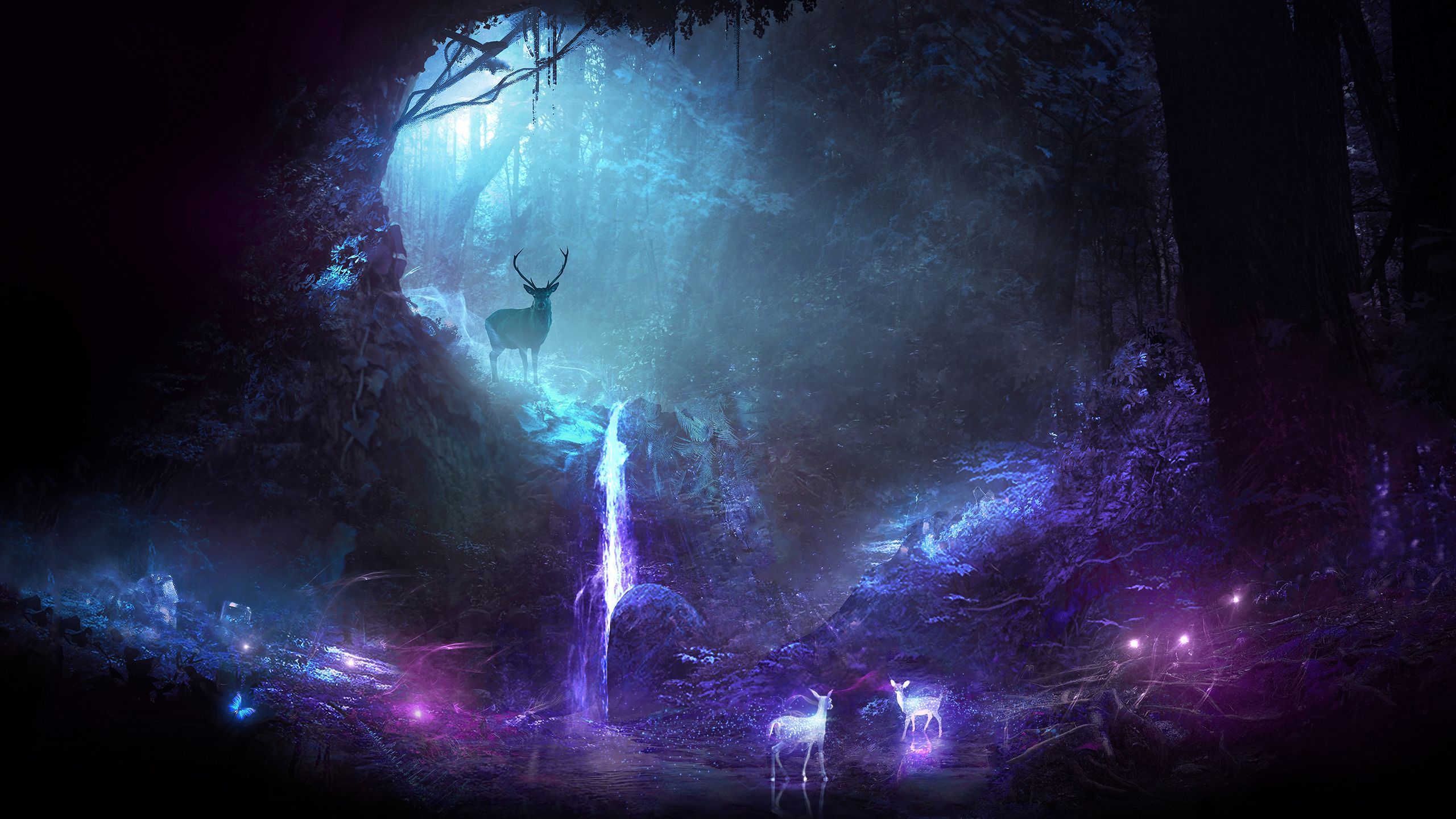 2560x1440 Deer Animal Night Fantasy Waterfall