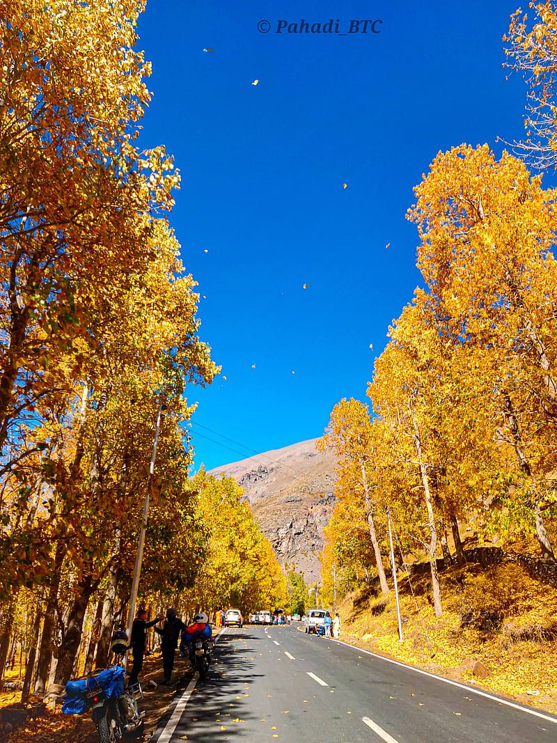 800x1067 Autumn Leaves, Himachal, India, Kullu, Kullu Manali, Landscape, Nature, Winter, HD Phone Wallpaper